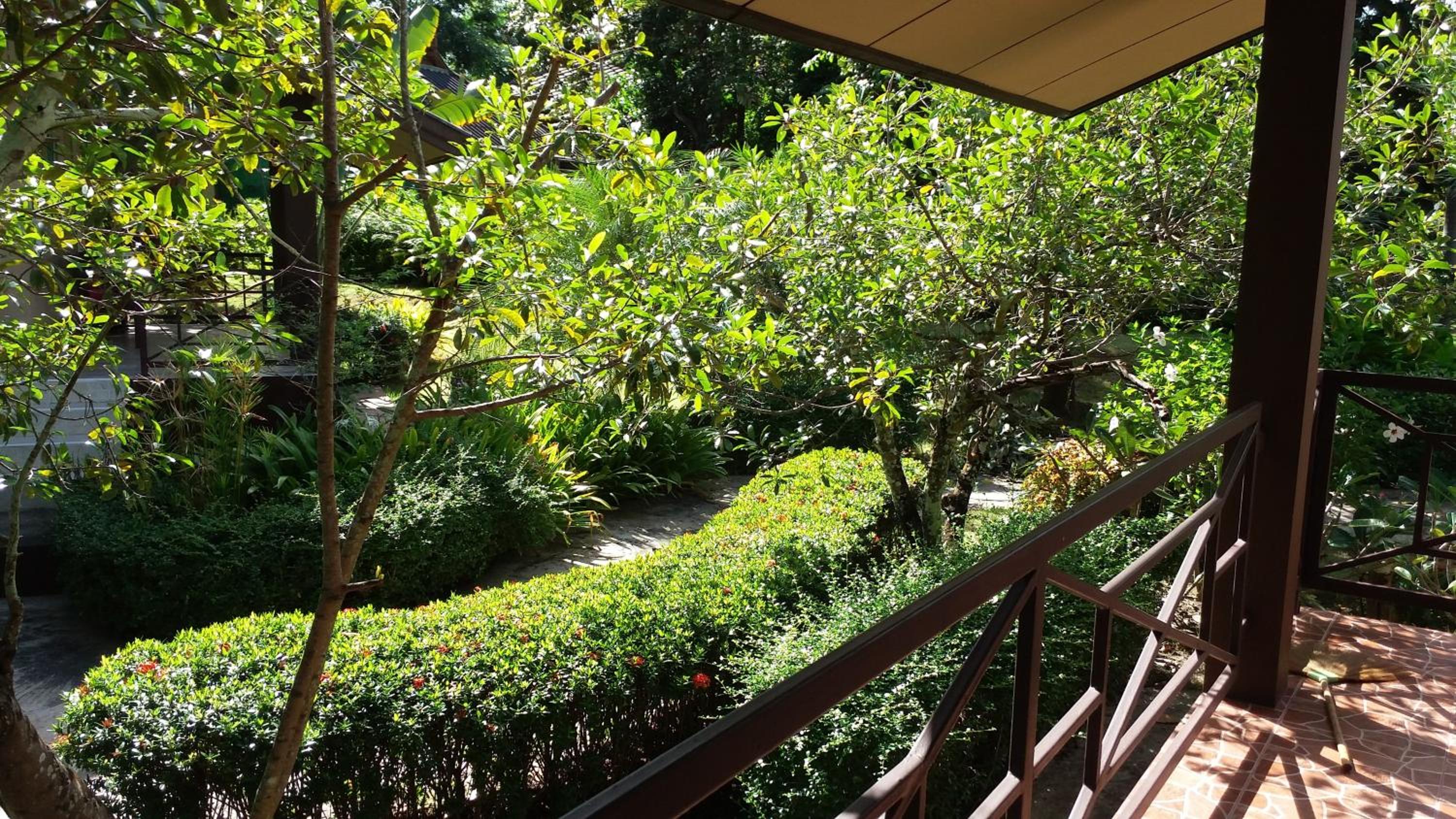 Standard Twin Room with Garden View photo 3