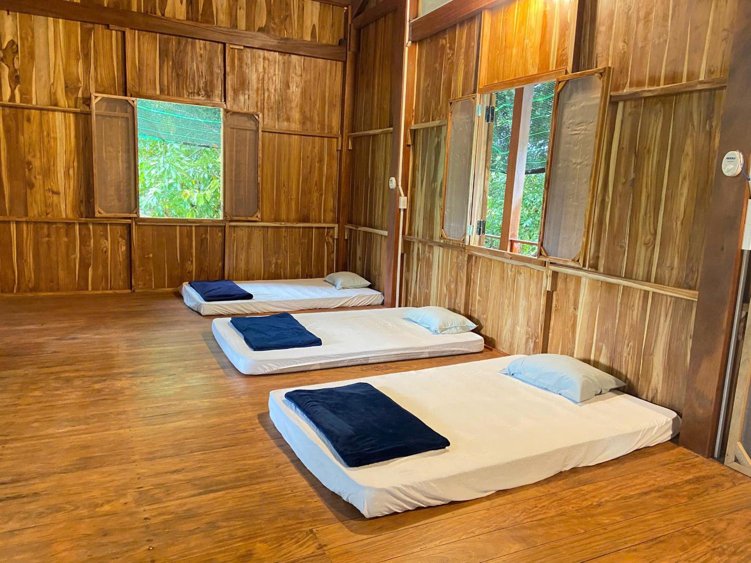 Mixed Dormitory Room photo 1