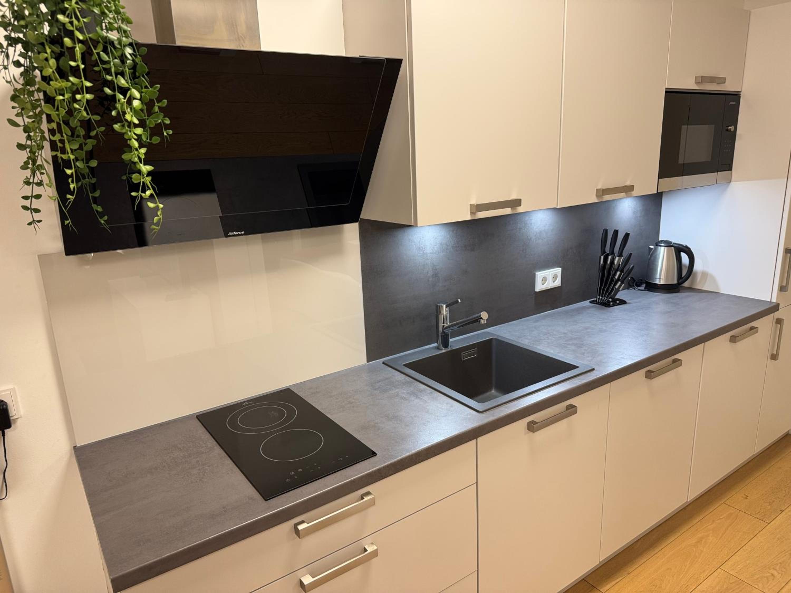 One-Bedroom Apartment with Balcony photo 2