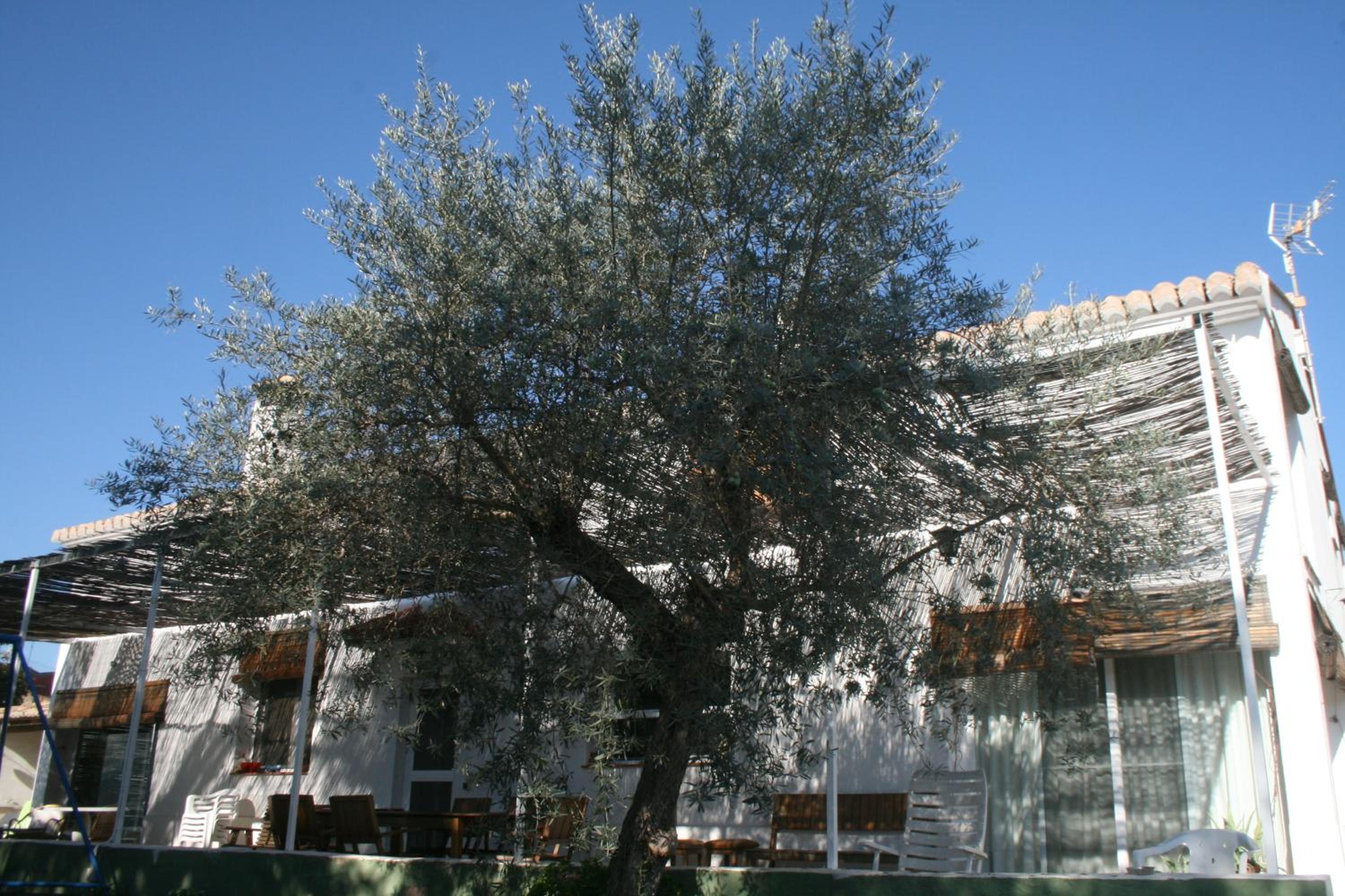Eight-Bedroom House photo 2