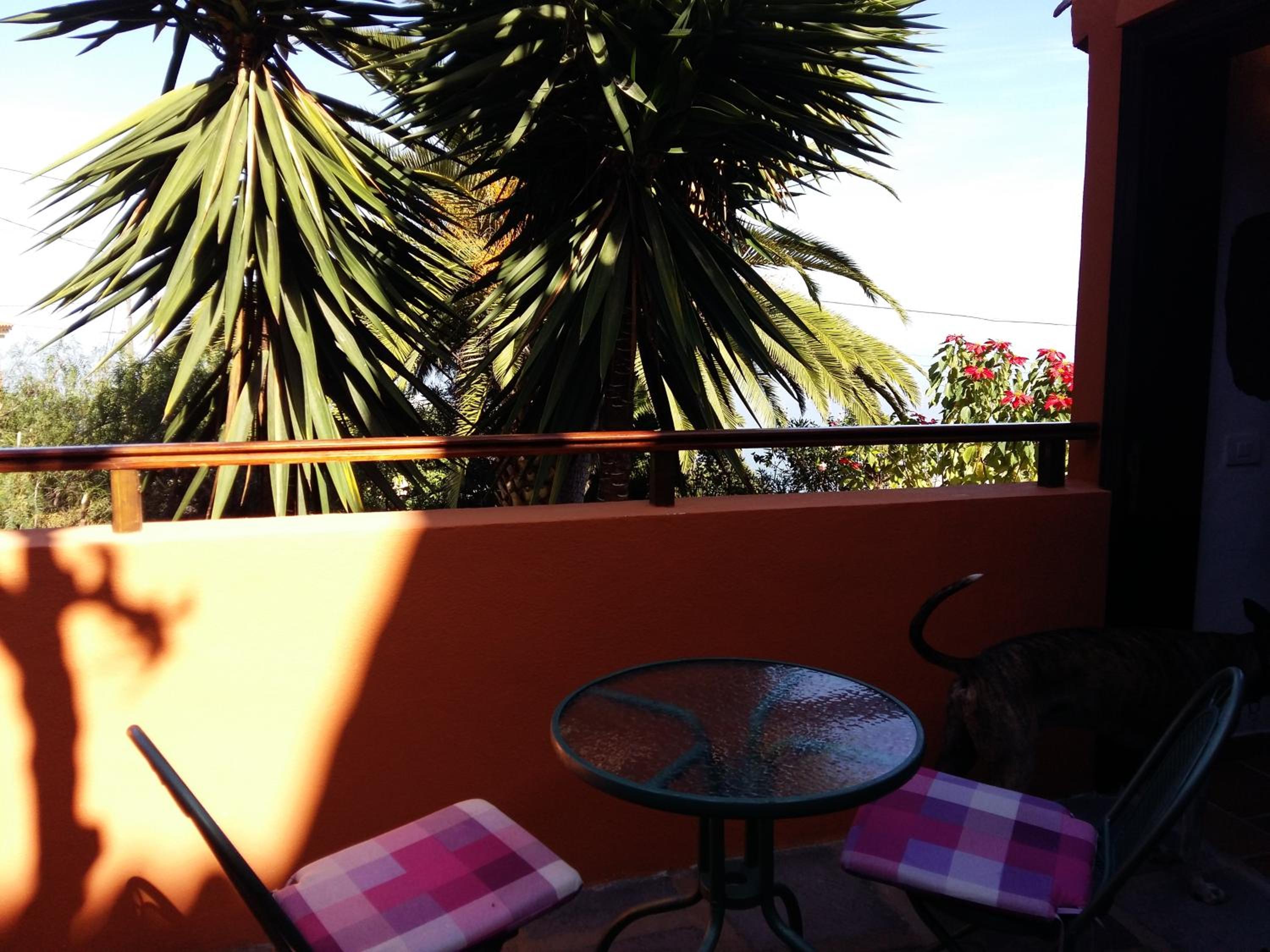 Apartment with Terrace - Photo 11