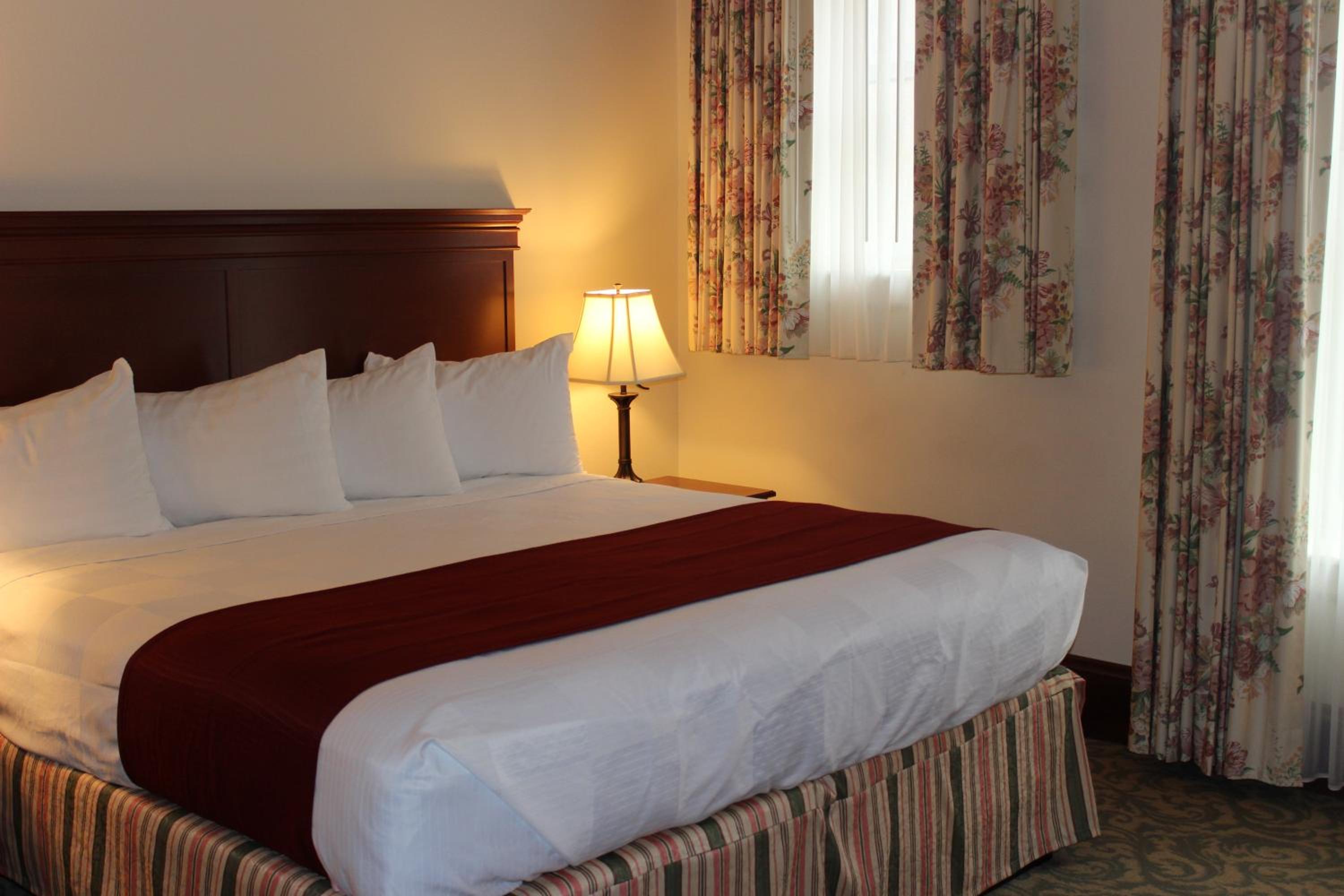 Double Room With Bath - Disability Access - Photo 10
