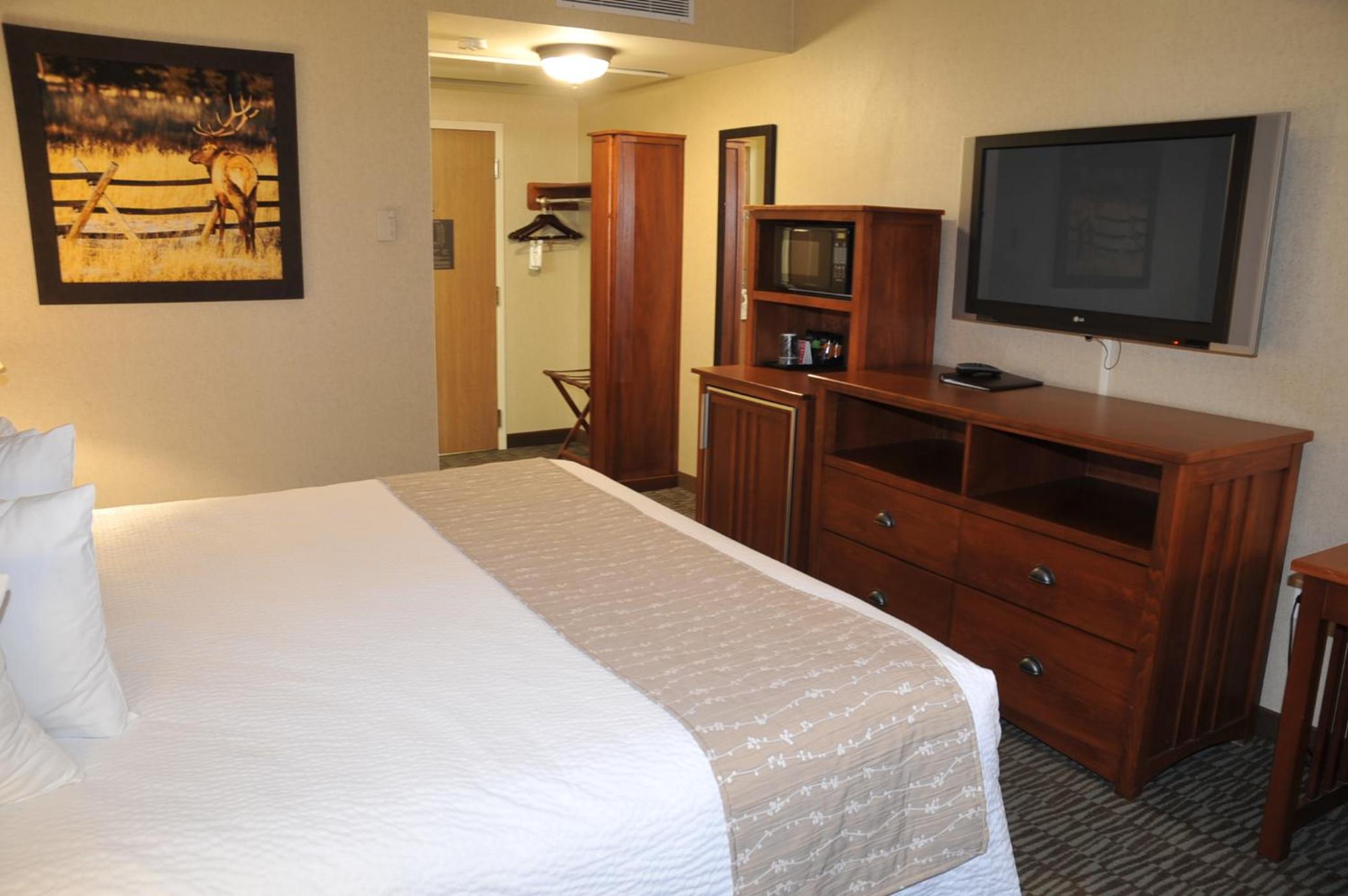 Deluxe King Suite photo 3