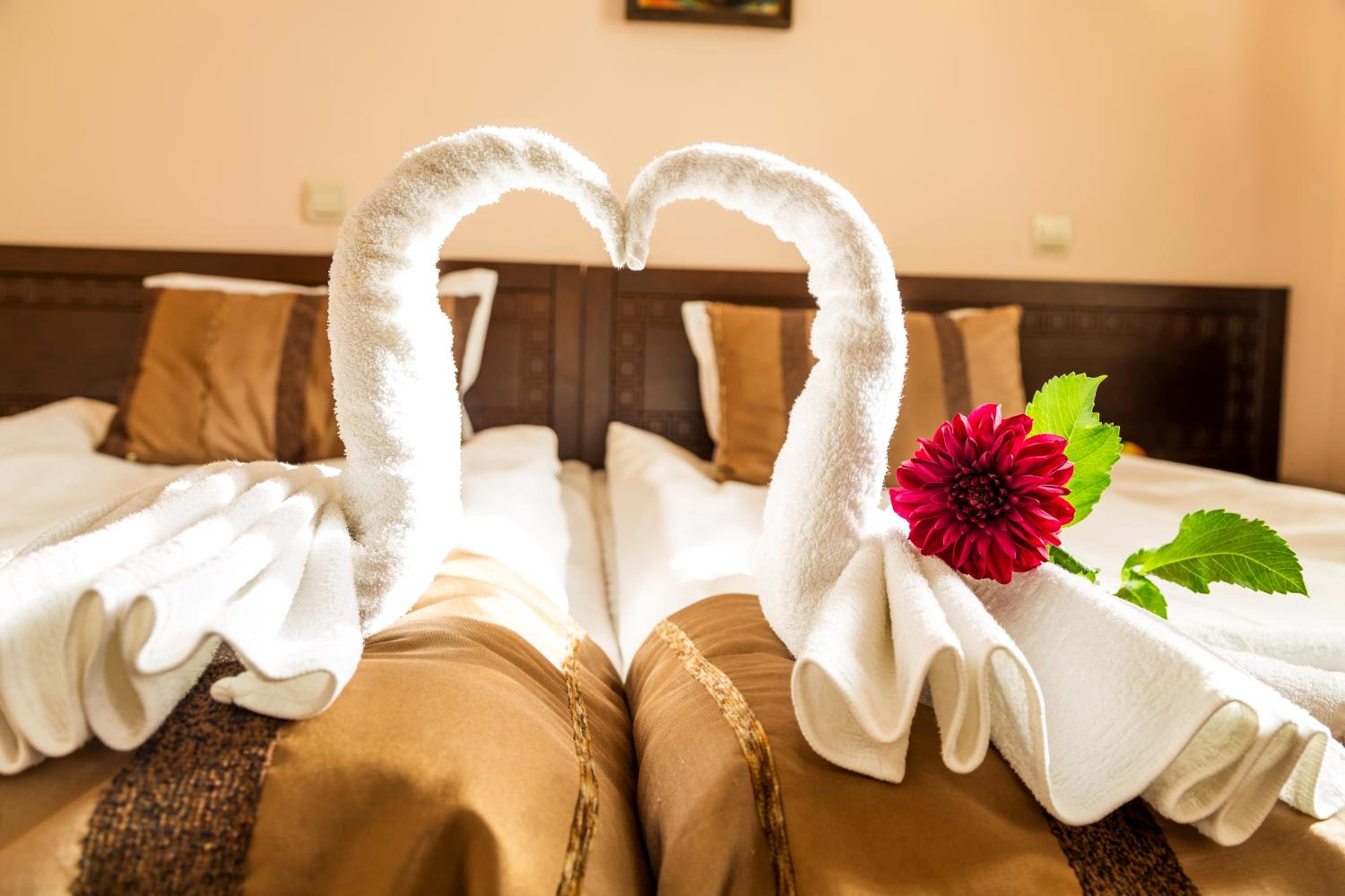 Double or Twin Room photo 2