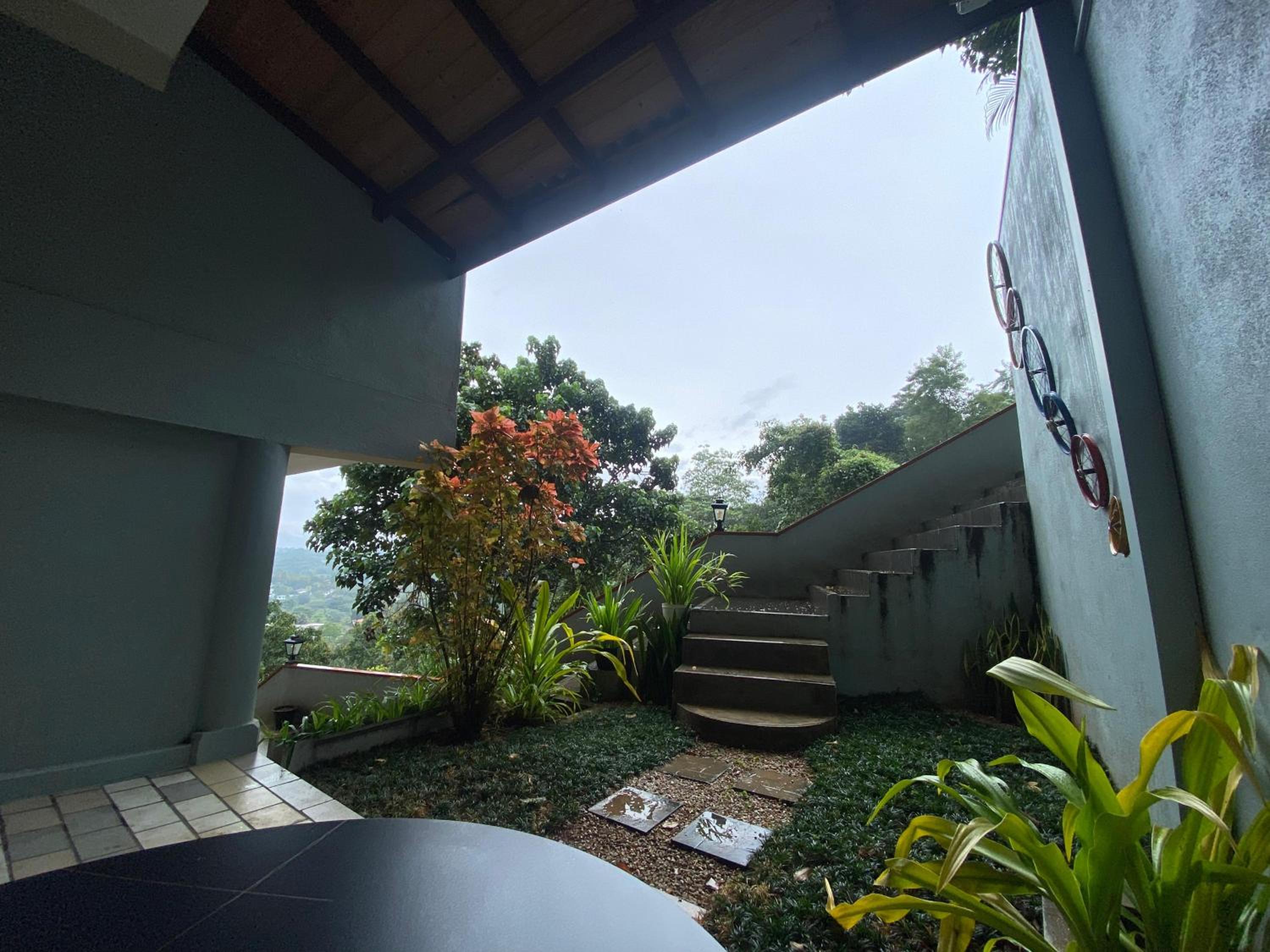 Double Room with Garden View photo 3