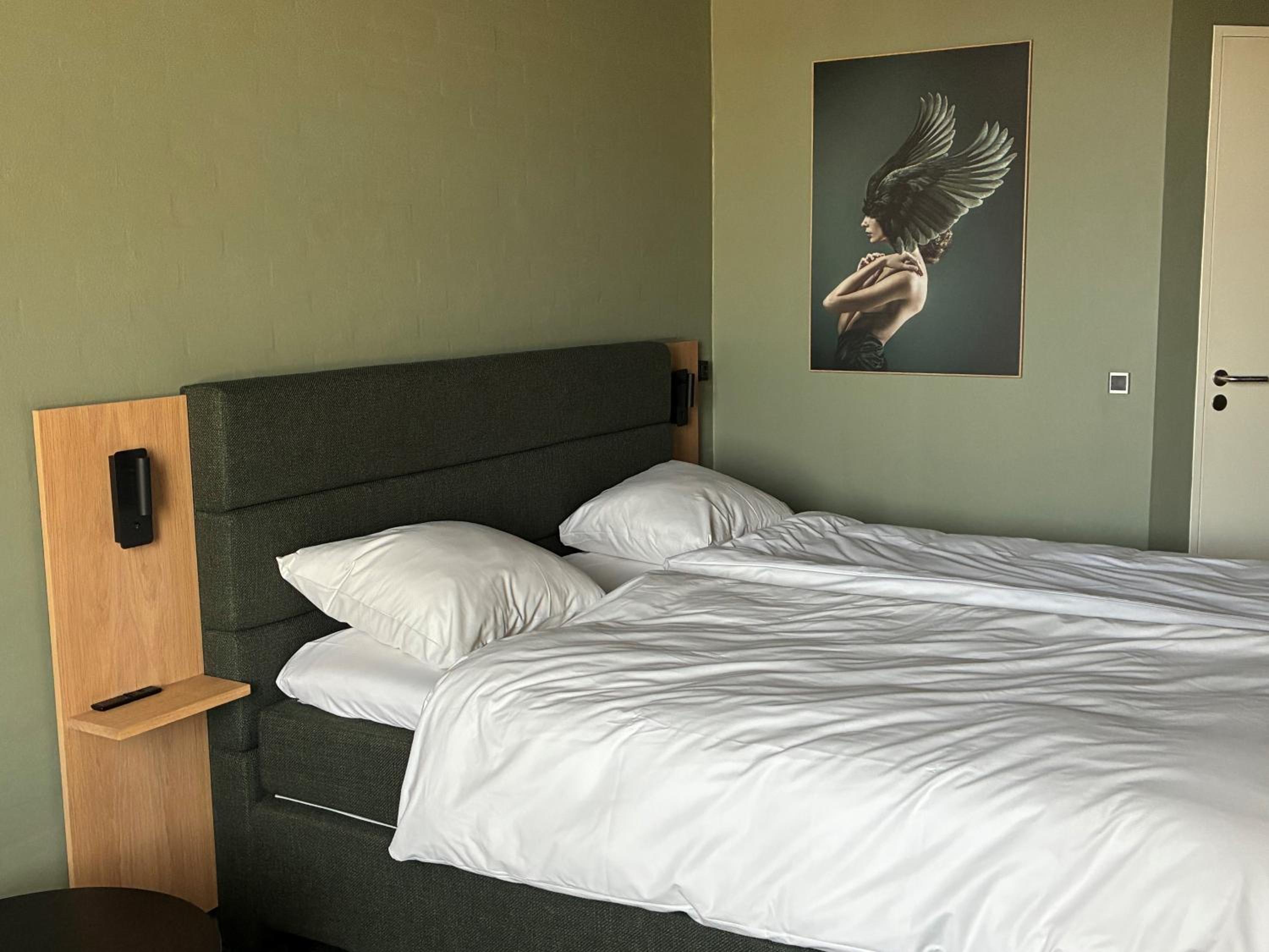 Deluxe Double Room photo 3
