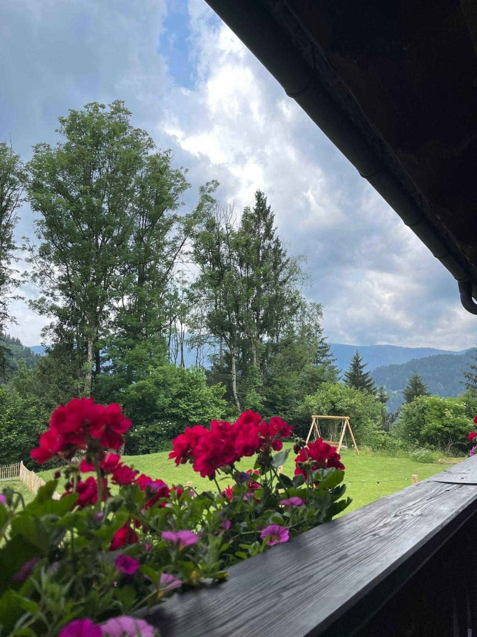 One-Bedroom Apartment with Balcony and Mountain View