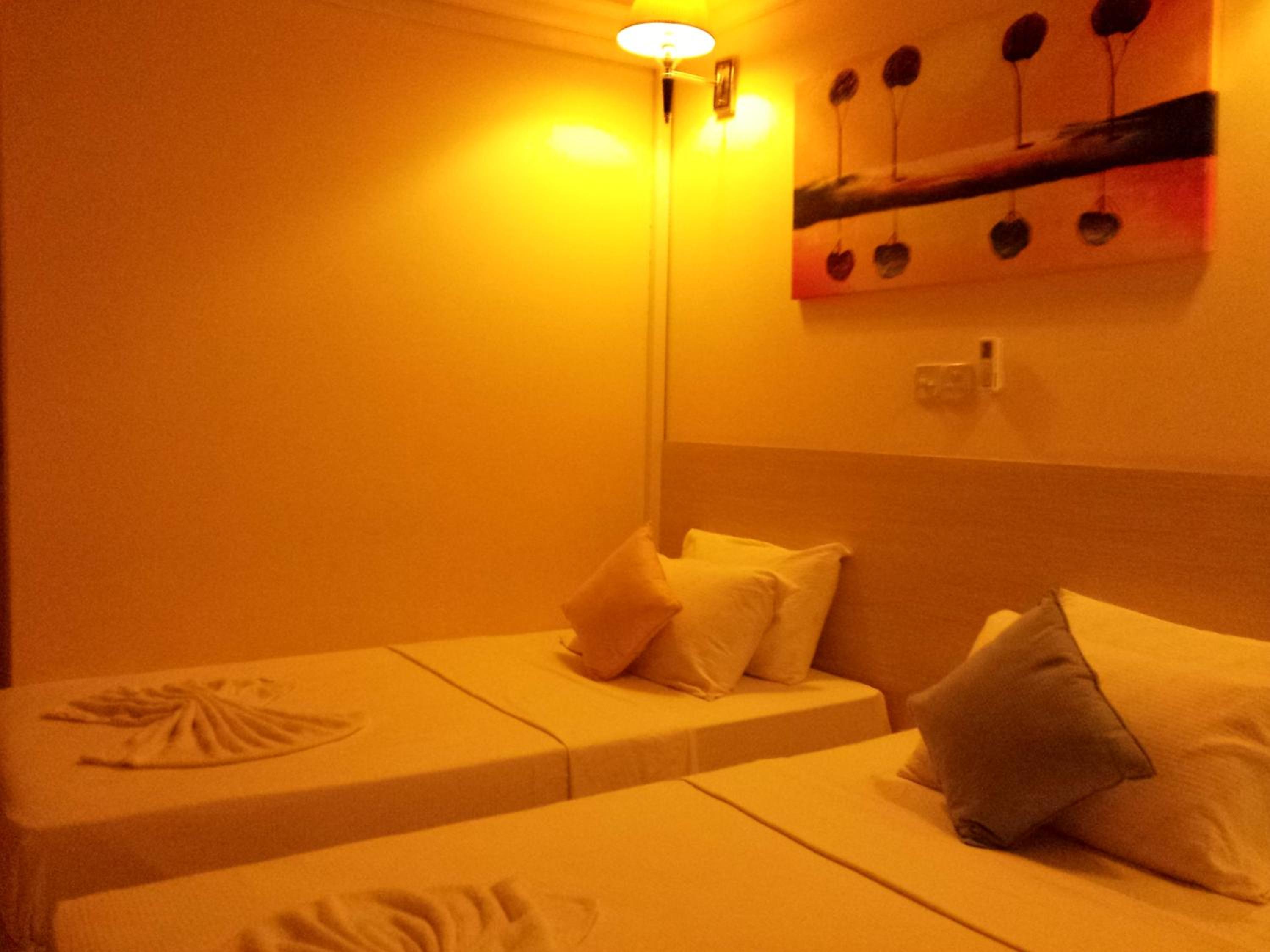 Deluxe Double or Twin Room - Photo 8