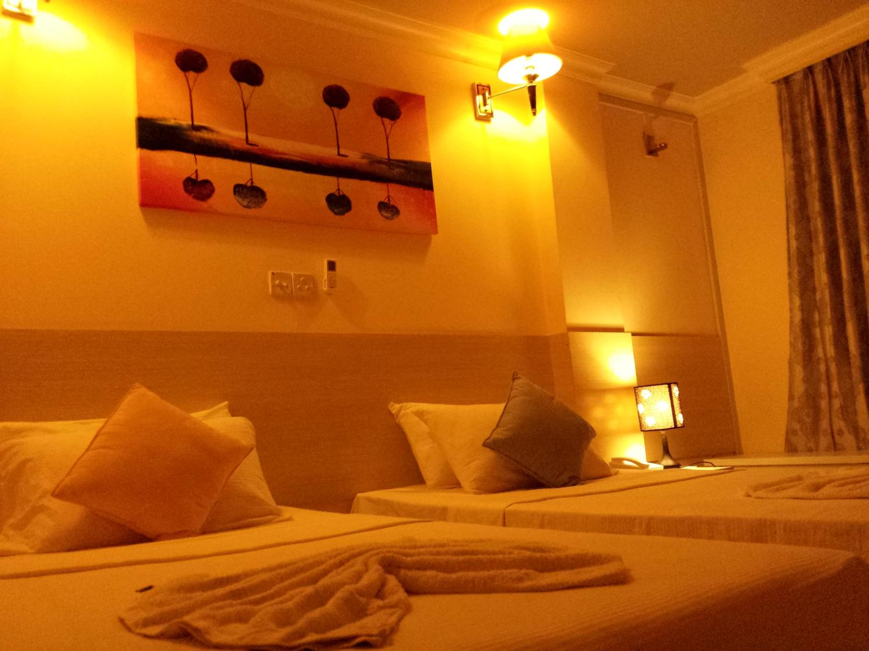 Deluxe Double or Twin Room - Photo 4