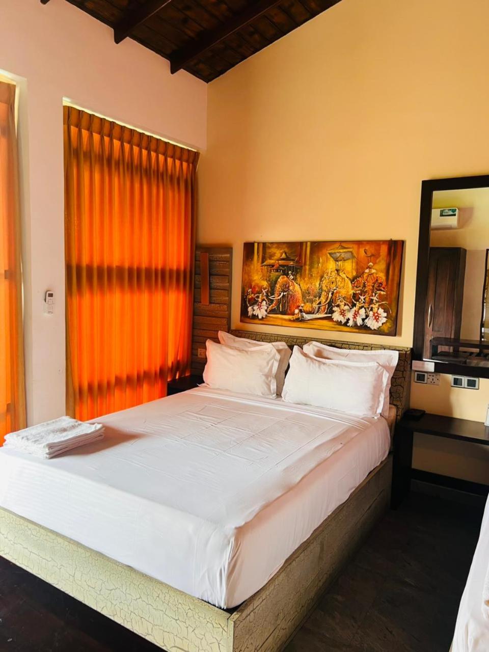 Deluxe Double Room photo 2