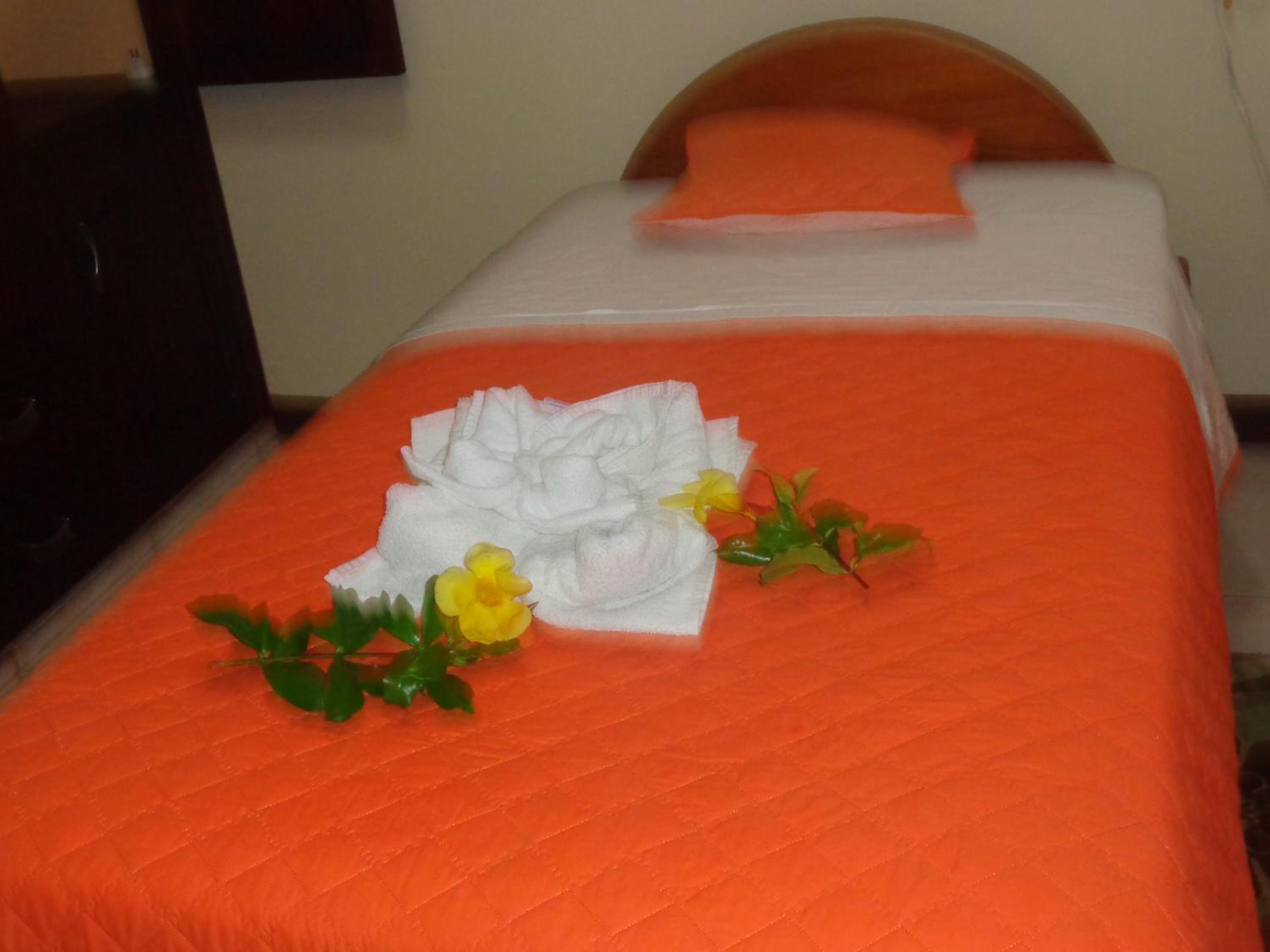 Budget Triple Room - Photo 15