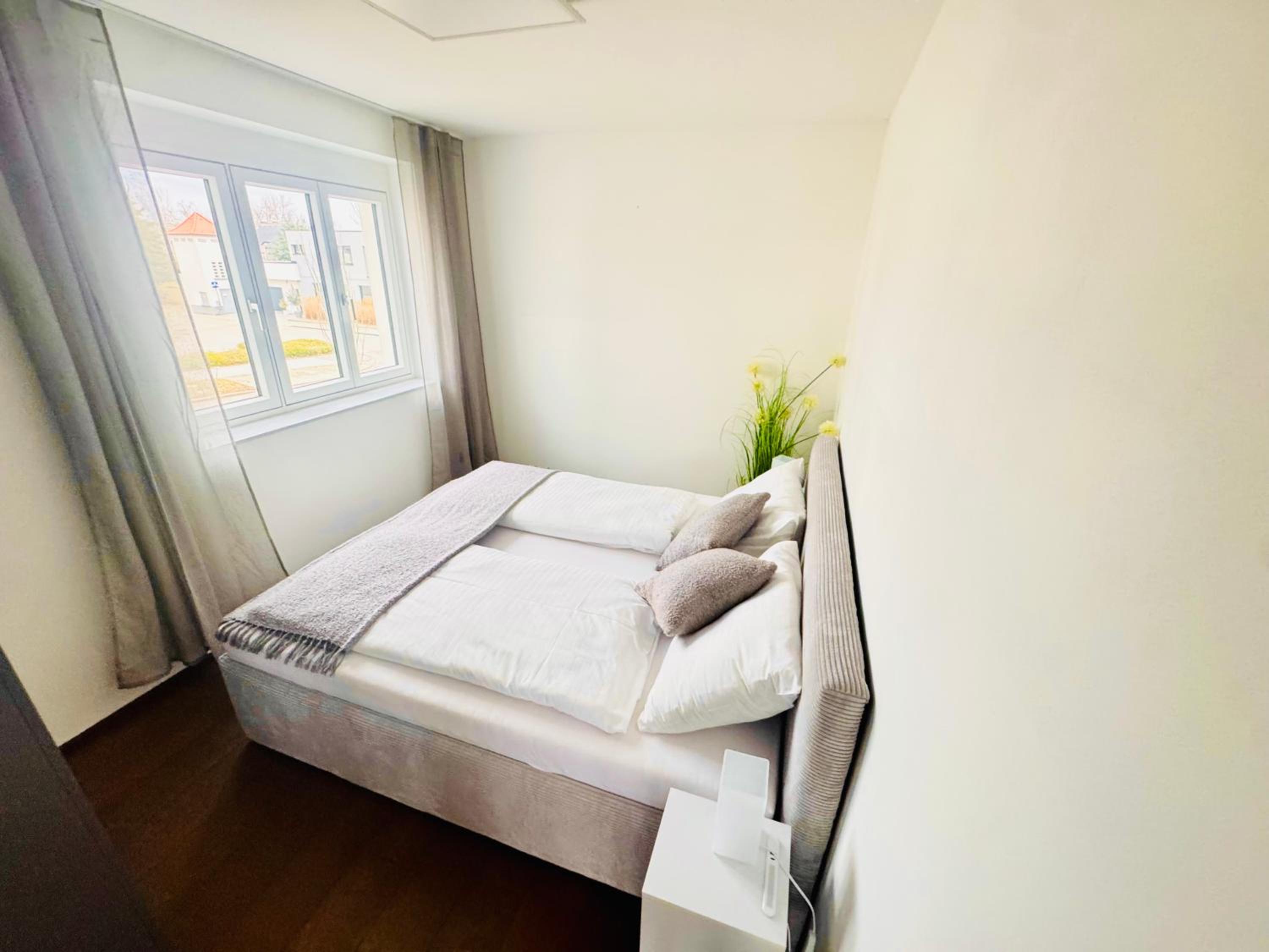 Superior One-Bedroom Apartment with Balcony photo 3