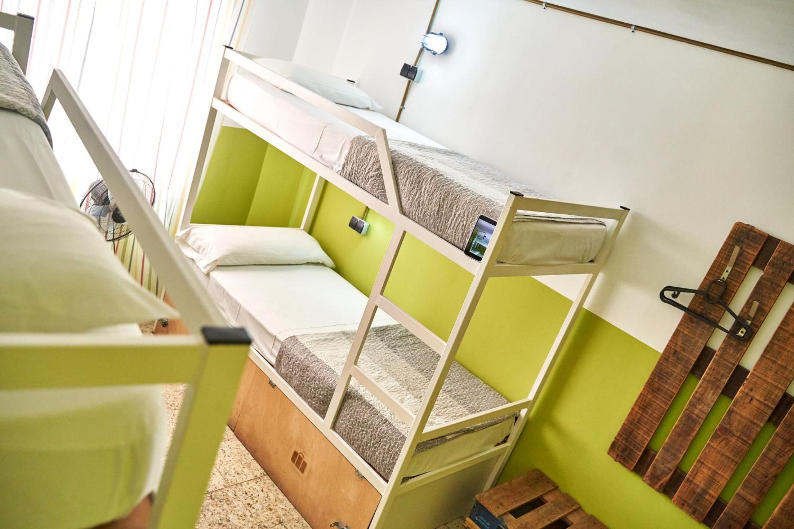 Bed in 4-Bed Mixed Dormitory Room