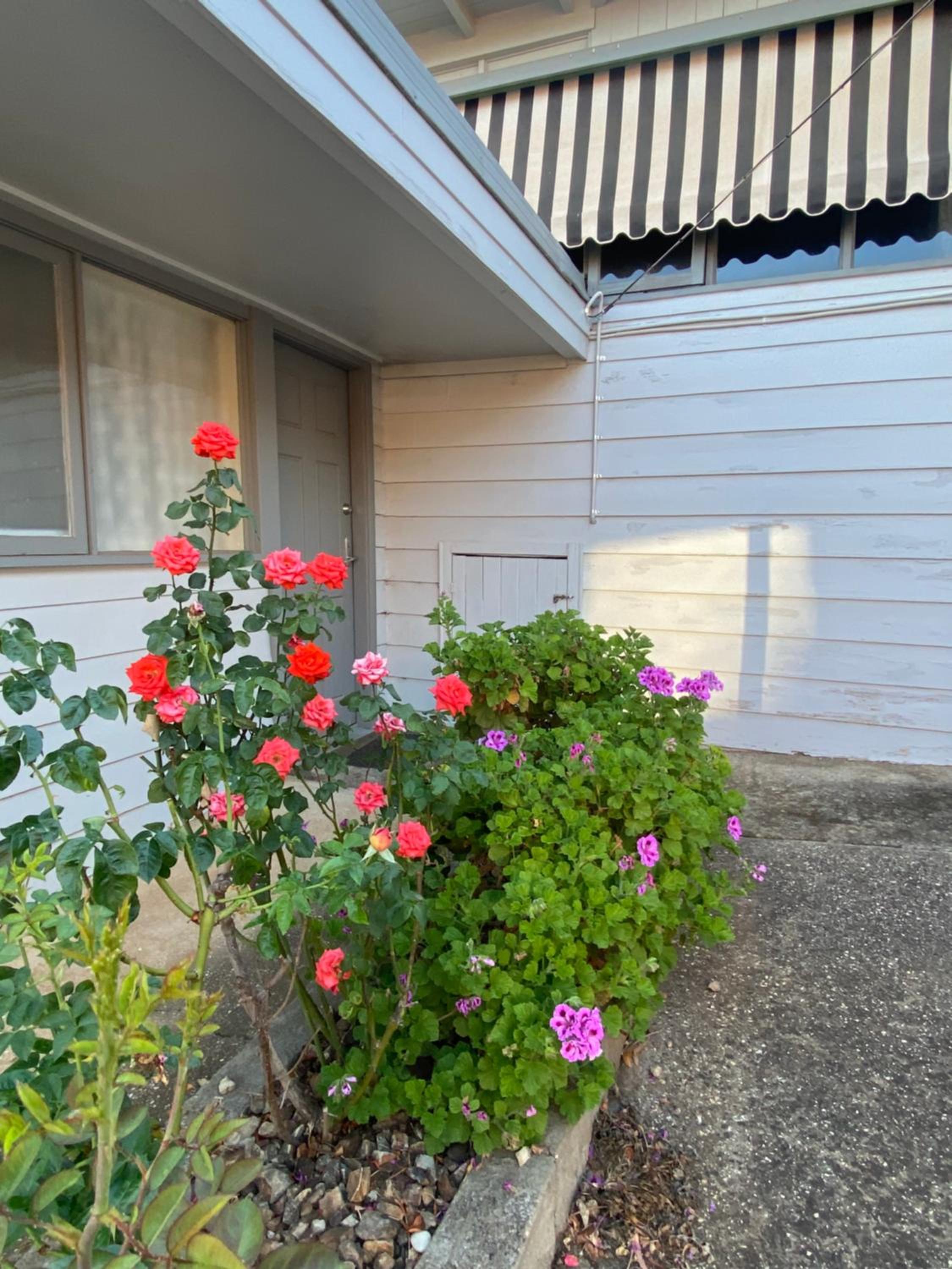 Three-Bedroom House photo 2