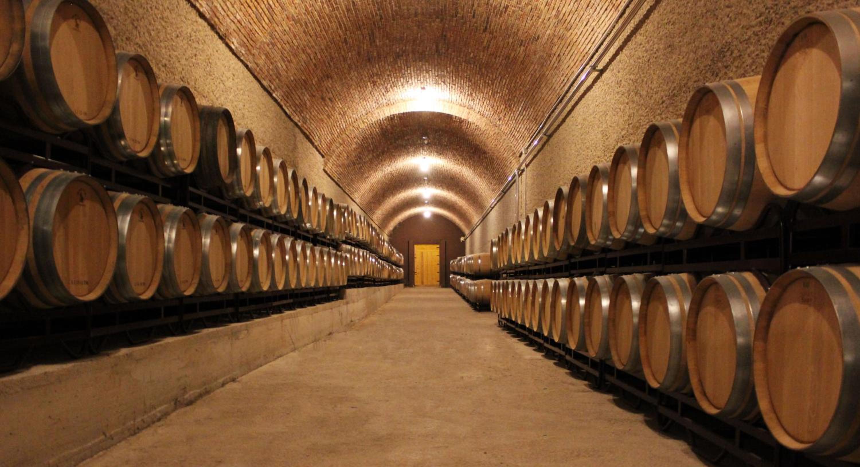 Double or Twin Room with Wine Cellar Package photo 2
