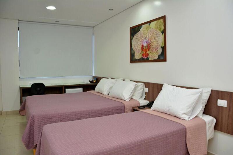 Double or Twin Room photo 3