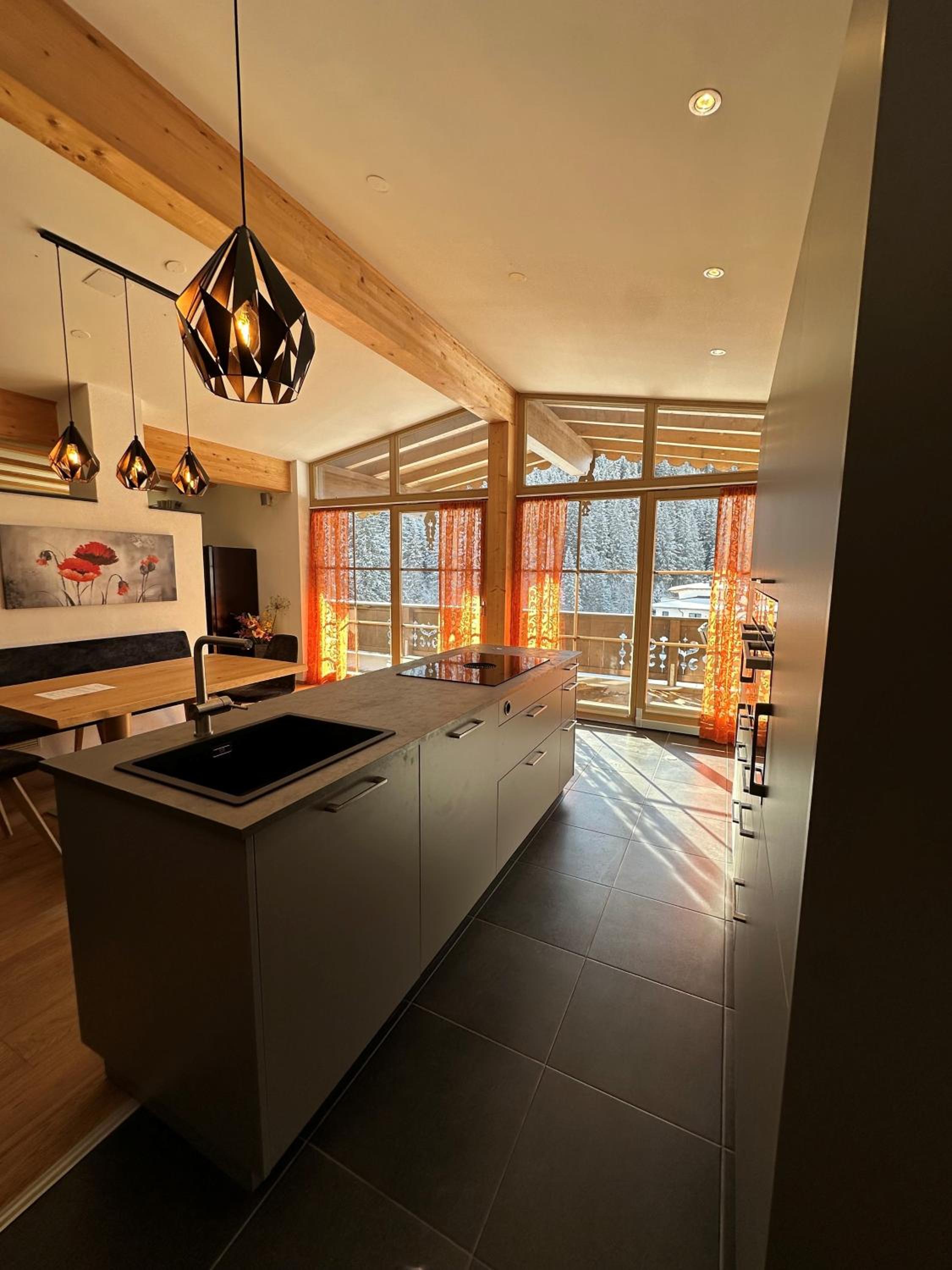 Apartment with Mountain View photo 2