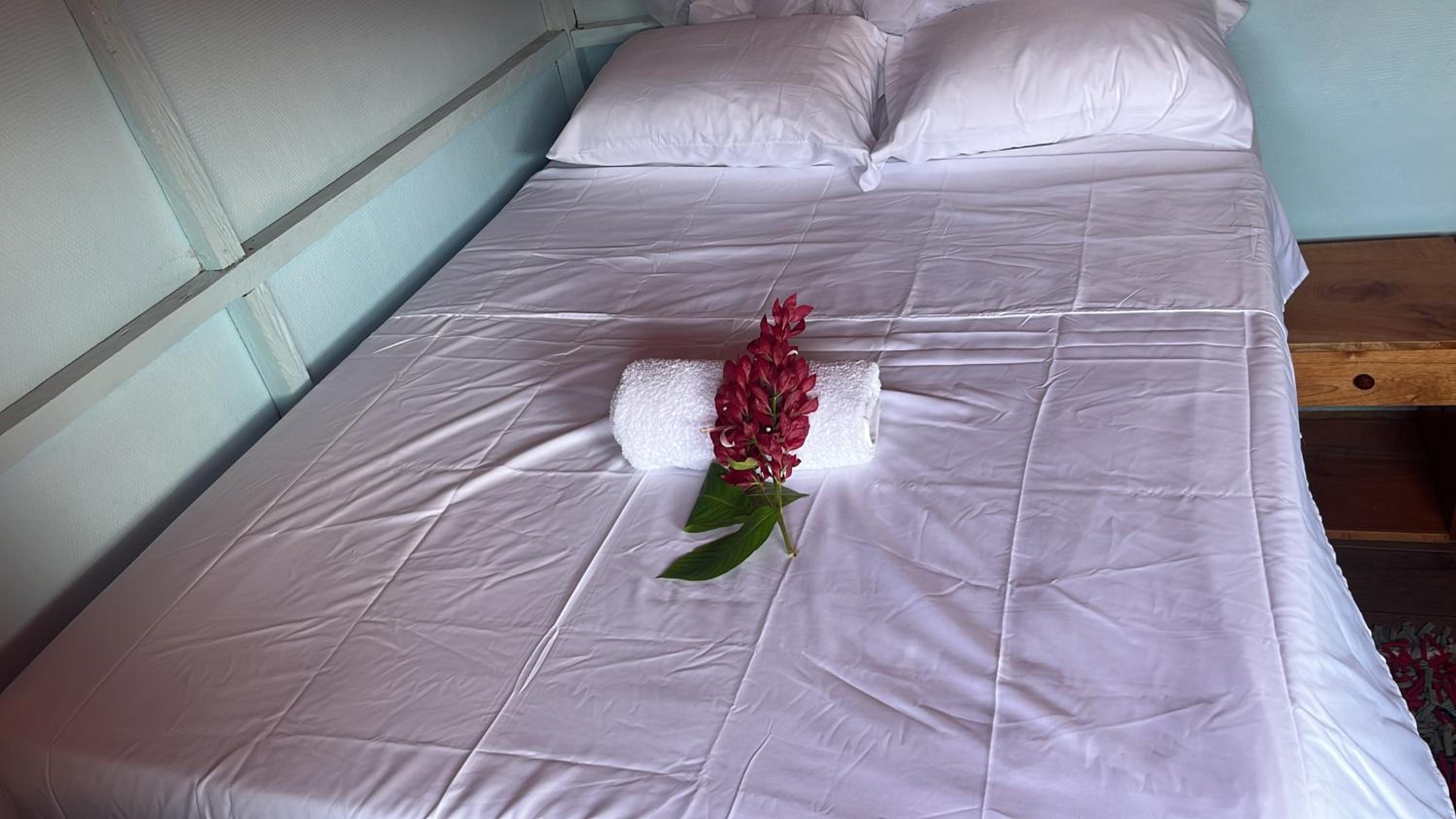 Twin Room photo 1