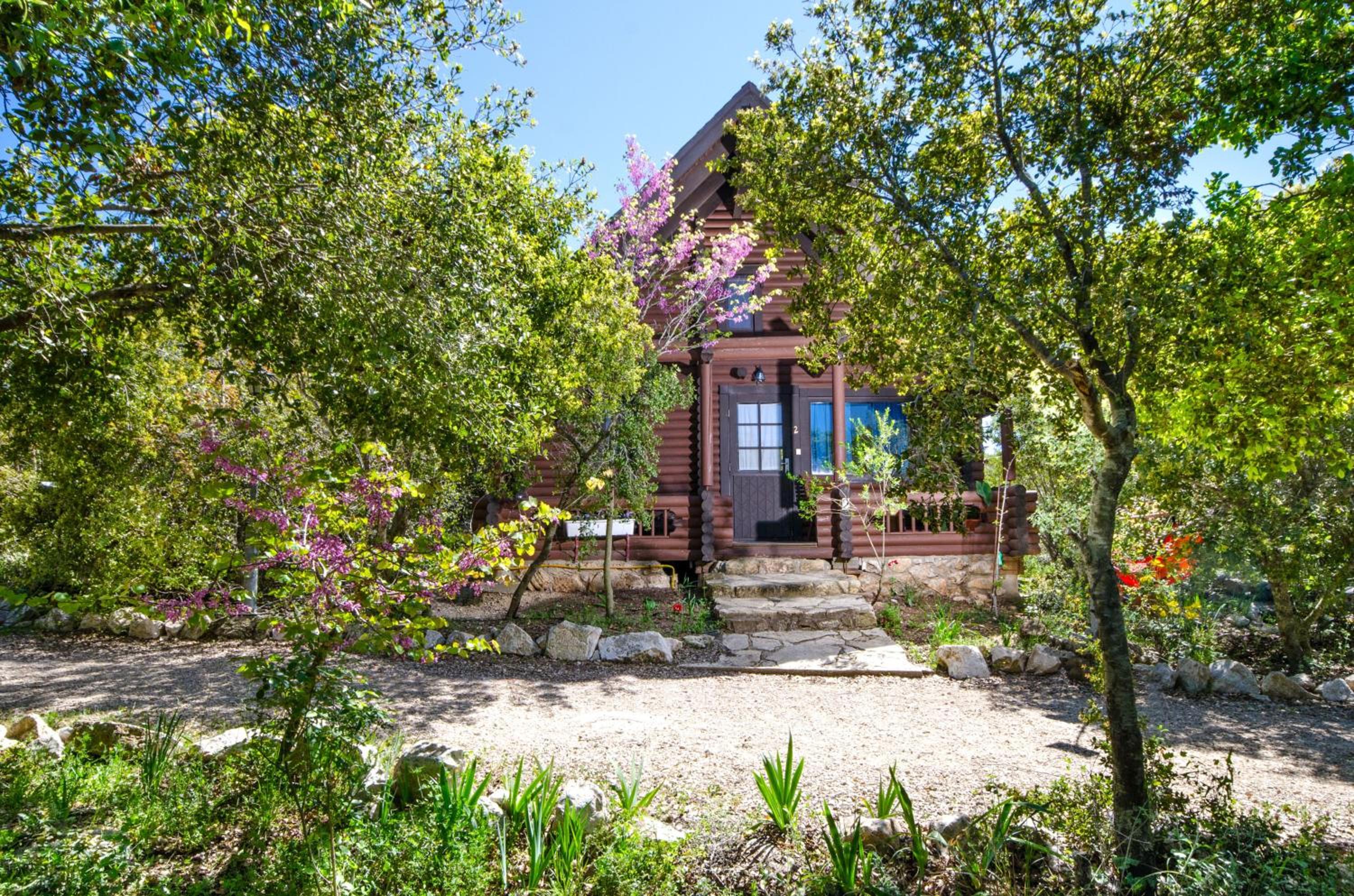 Chalet photo 3