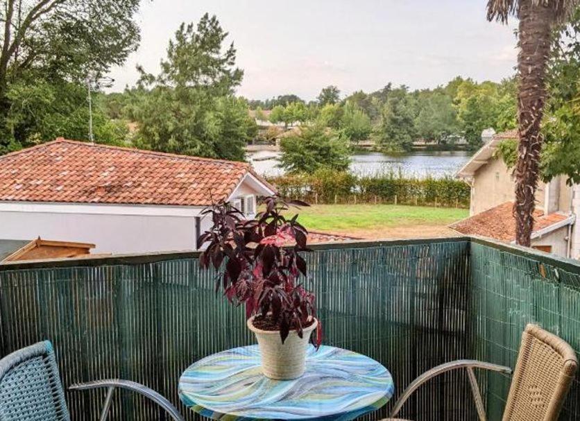 Twin Room with Lake View