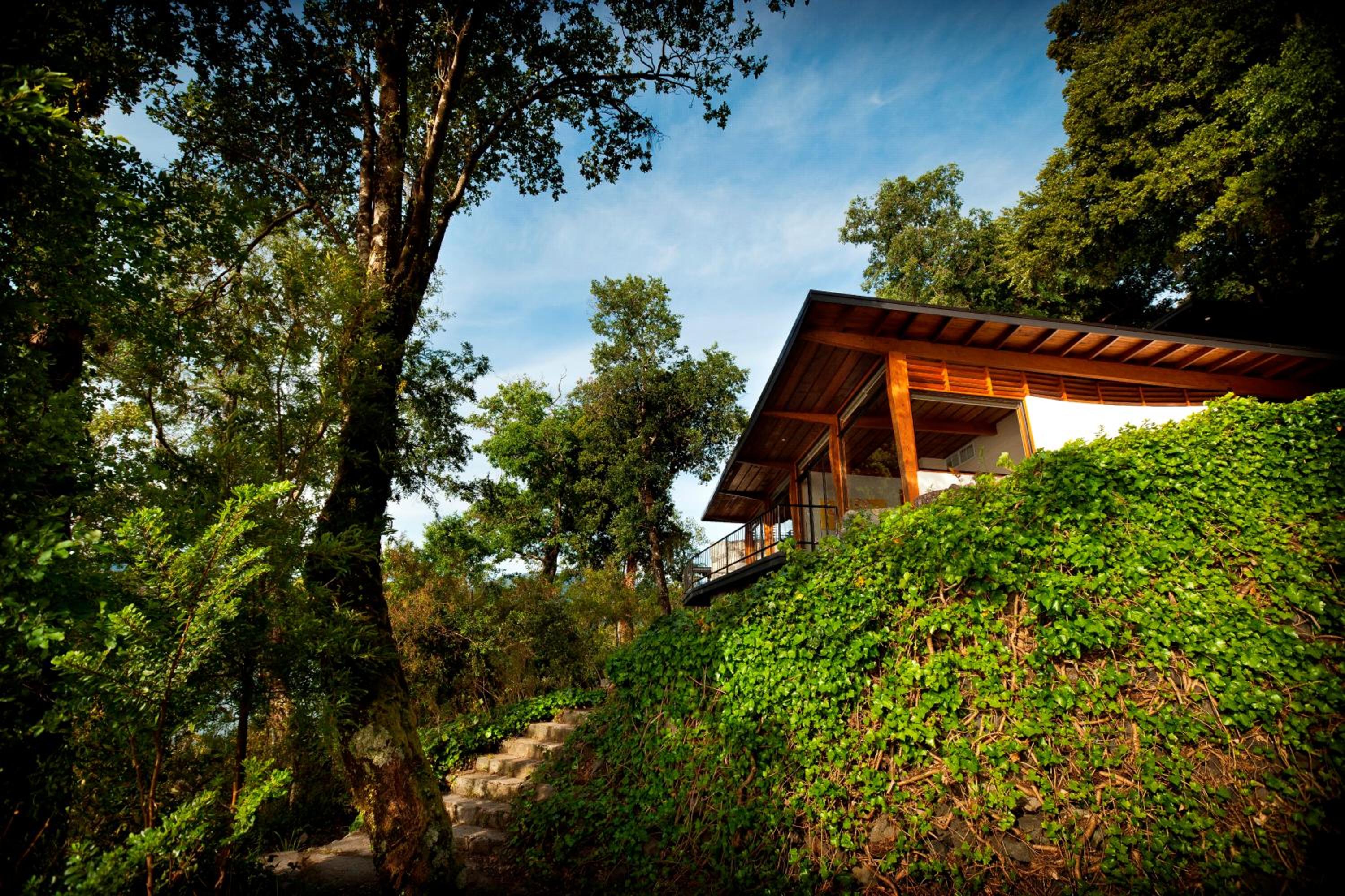 Superior Villa photo 2