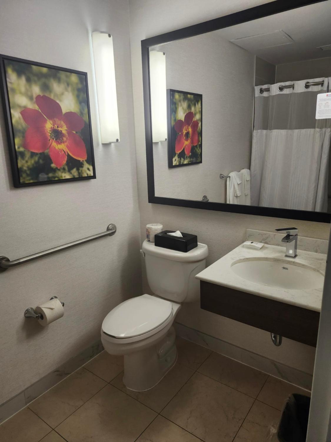 King Room - Disability Access photo 3