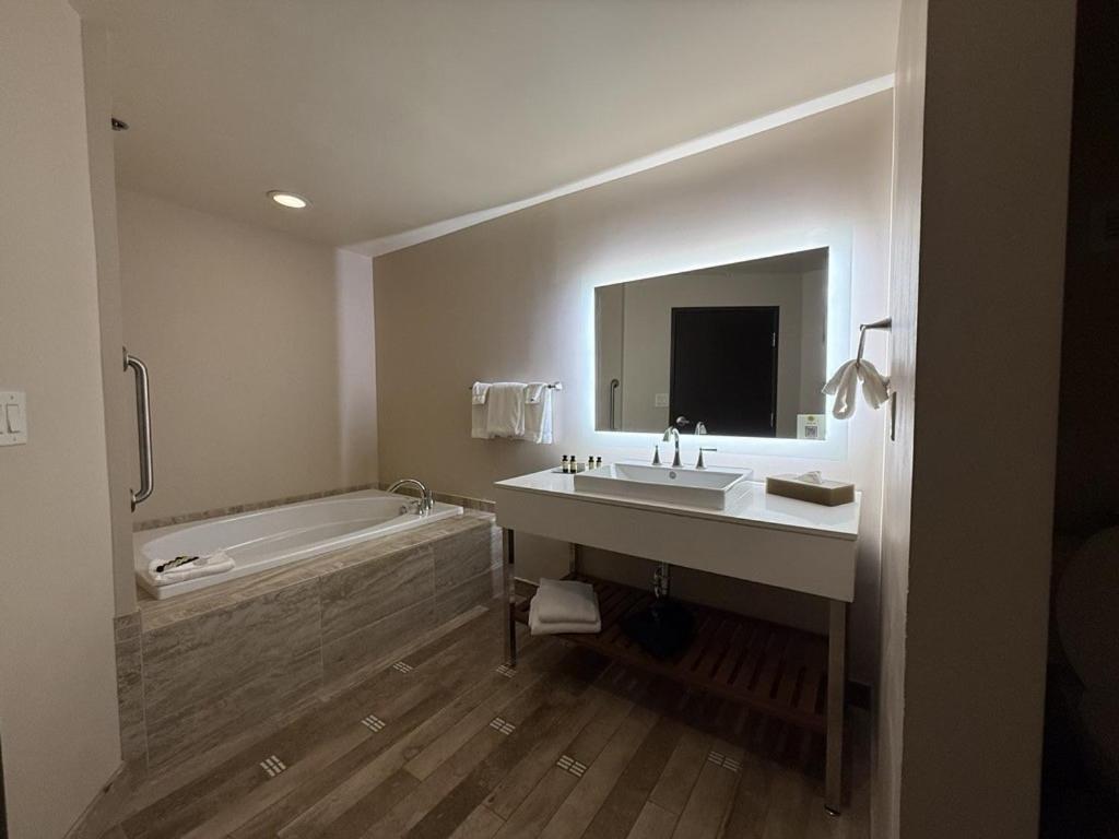 Executive Suite photo 3