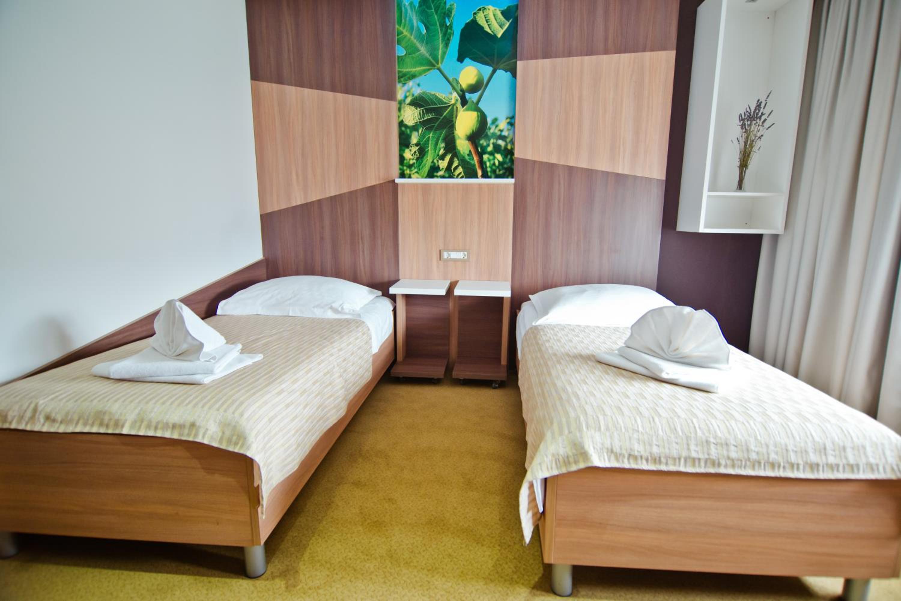 Single Room photo 3