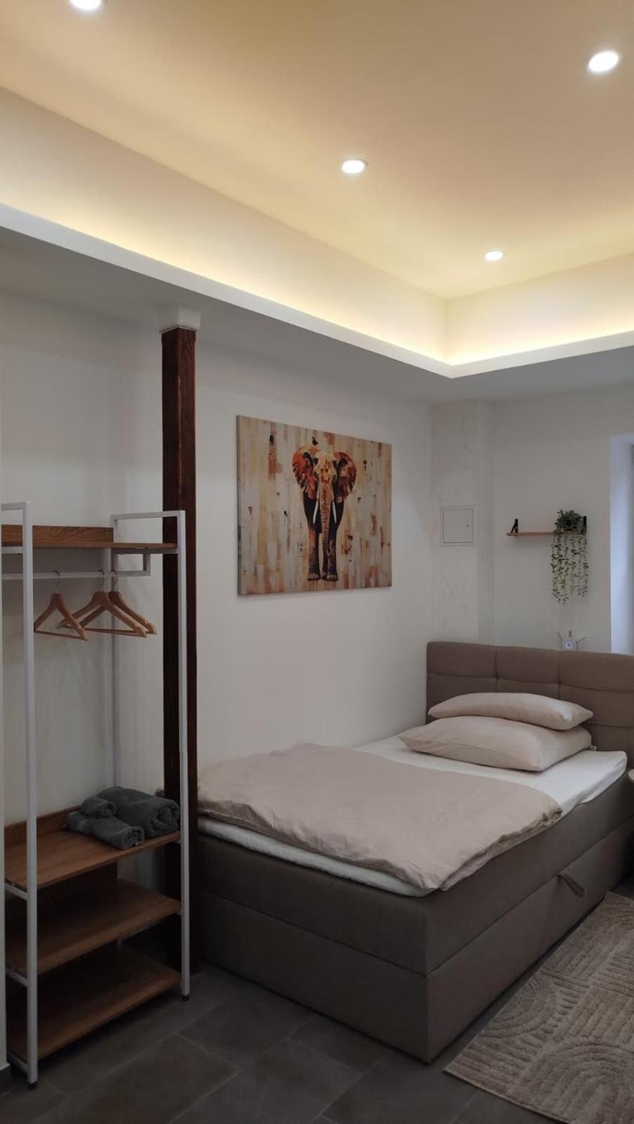 Single Room photo 2