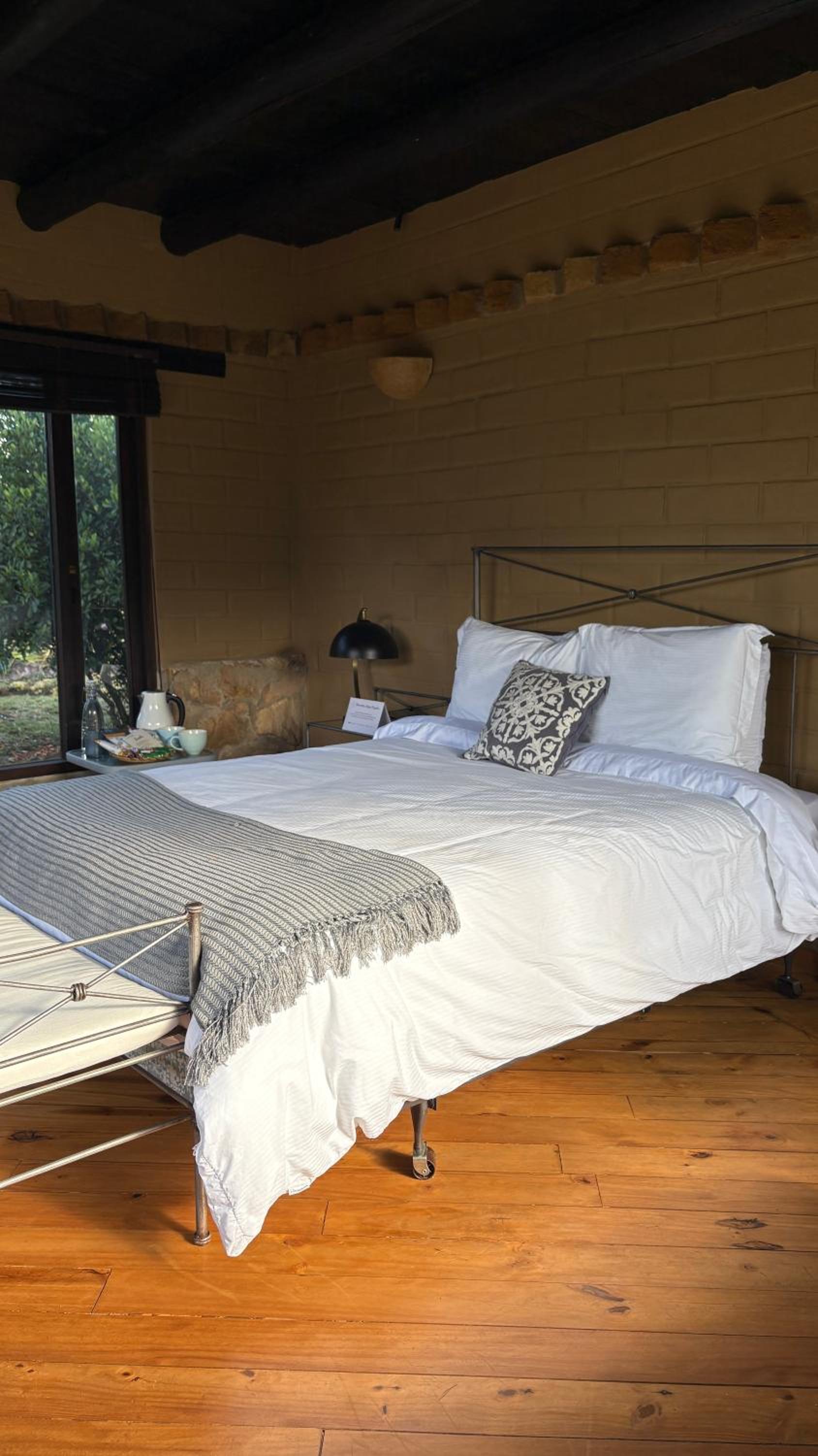 Suite with Terrace photo 2