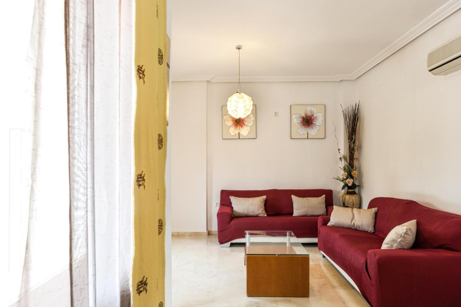 Superior Villa photo 3