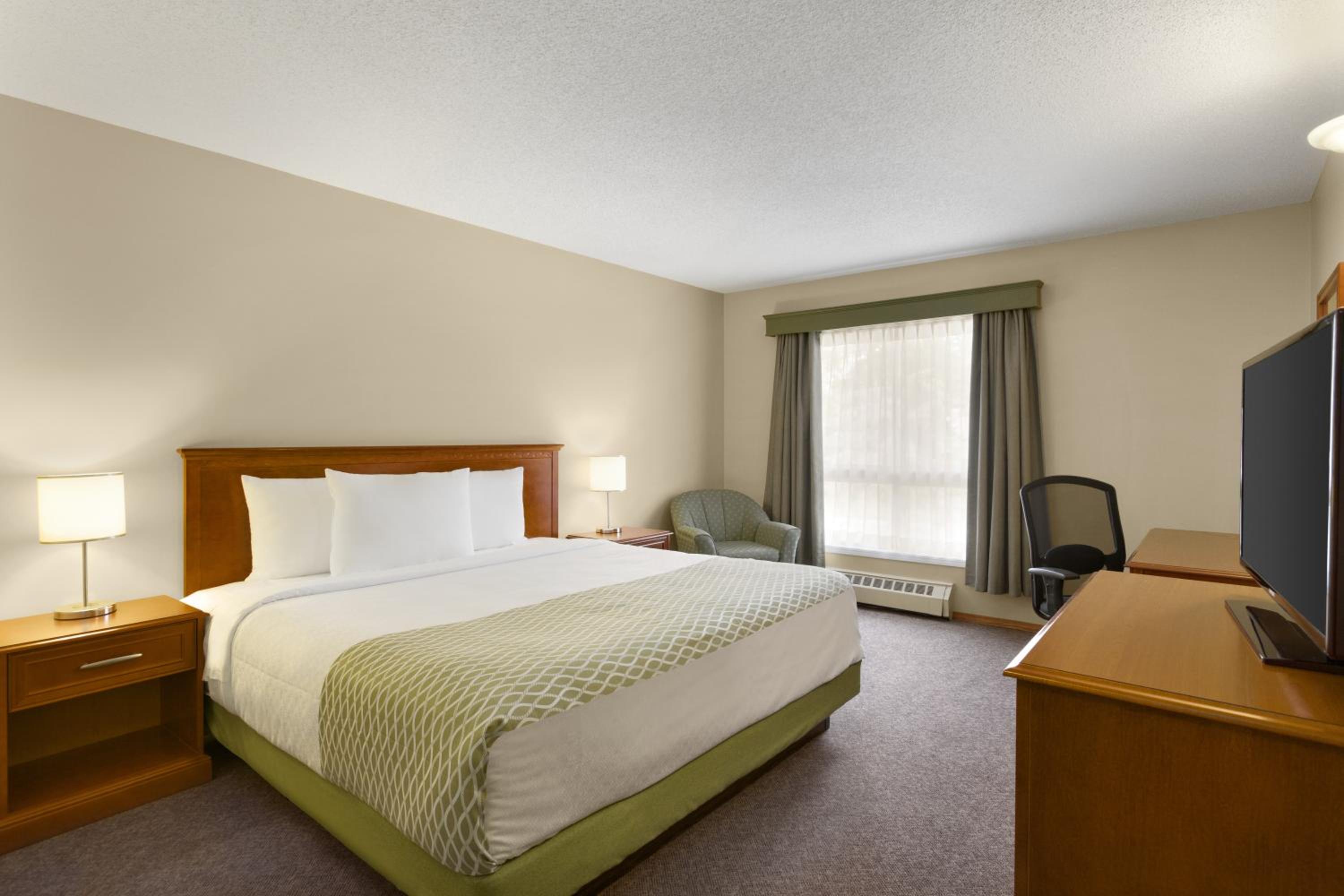 Business King Room photo 1