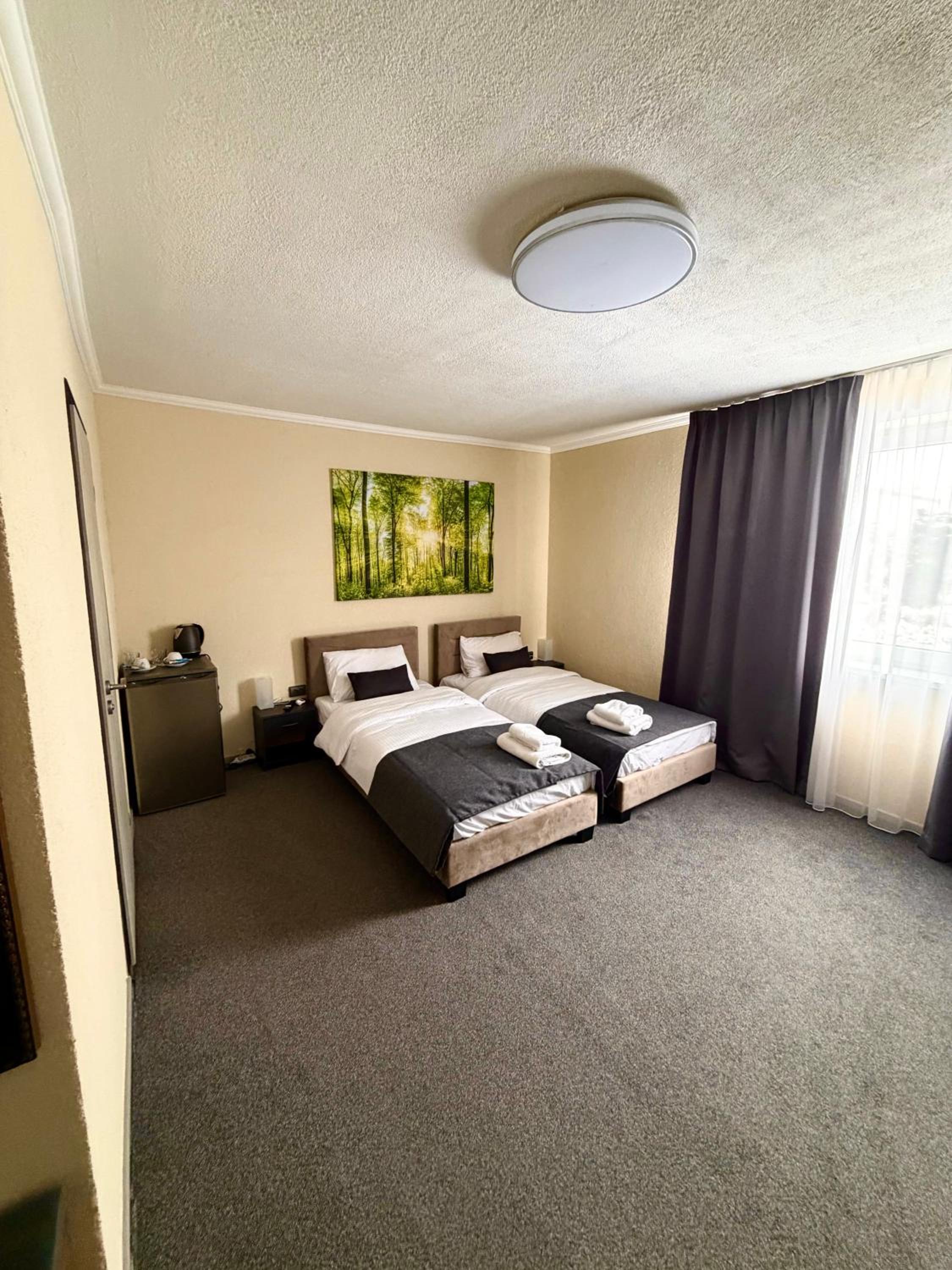 Large Double or Twin Room