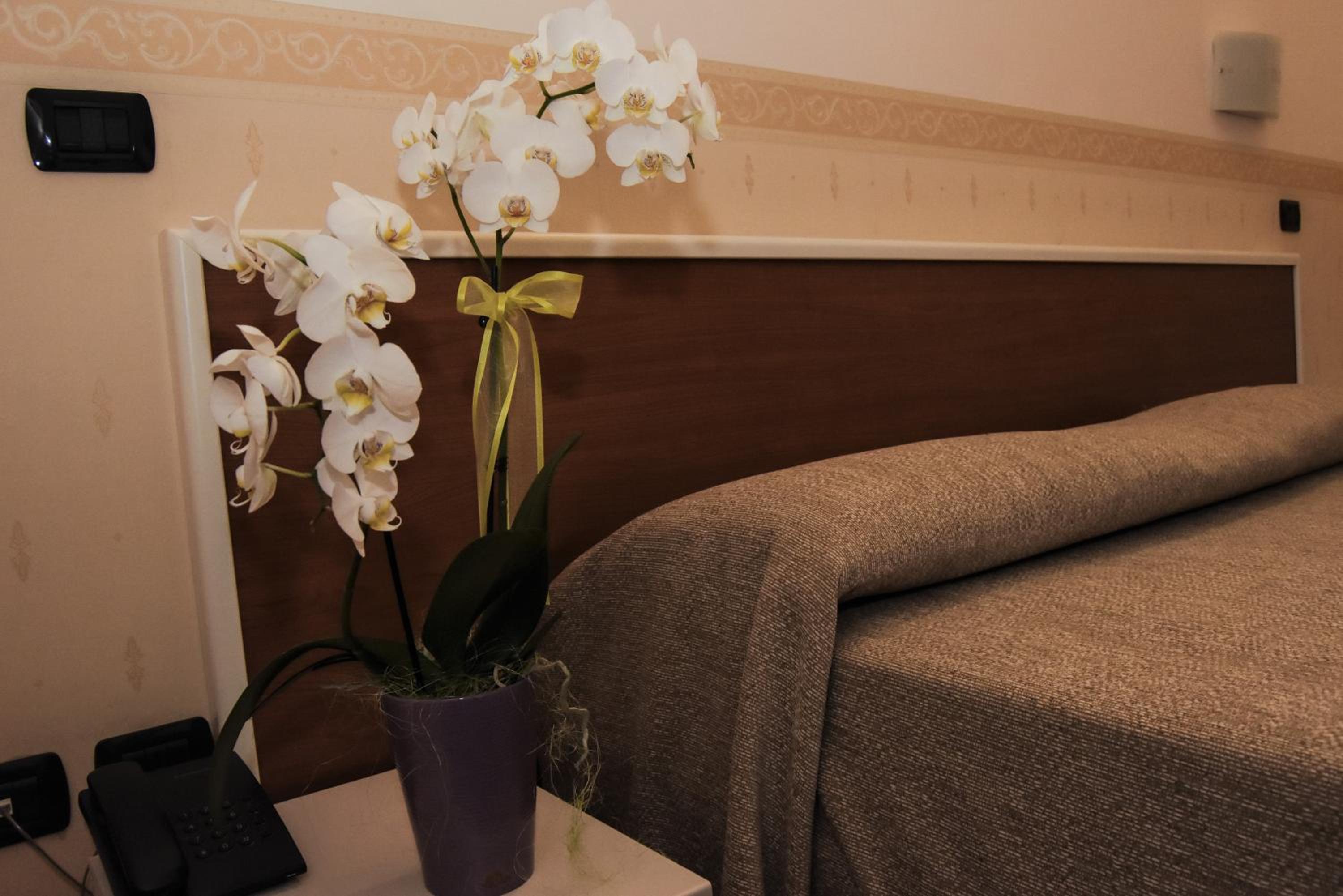 Double or Twin Room photo 1