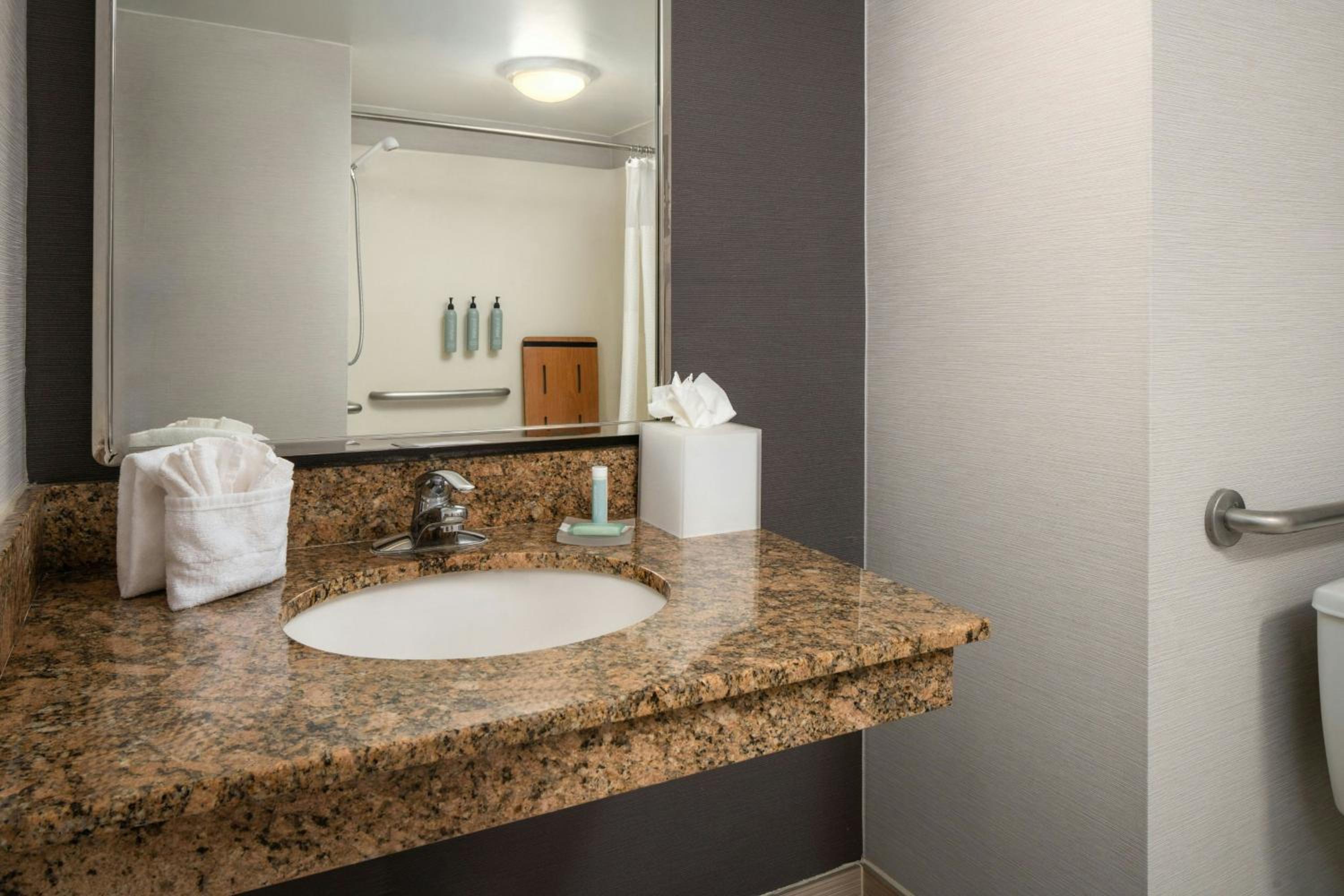 King Room with Roll-In Shower - Mobility Accessible - Photo 10