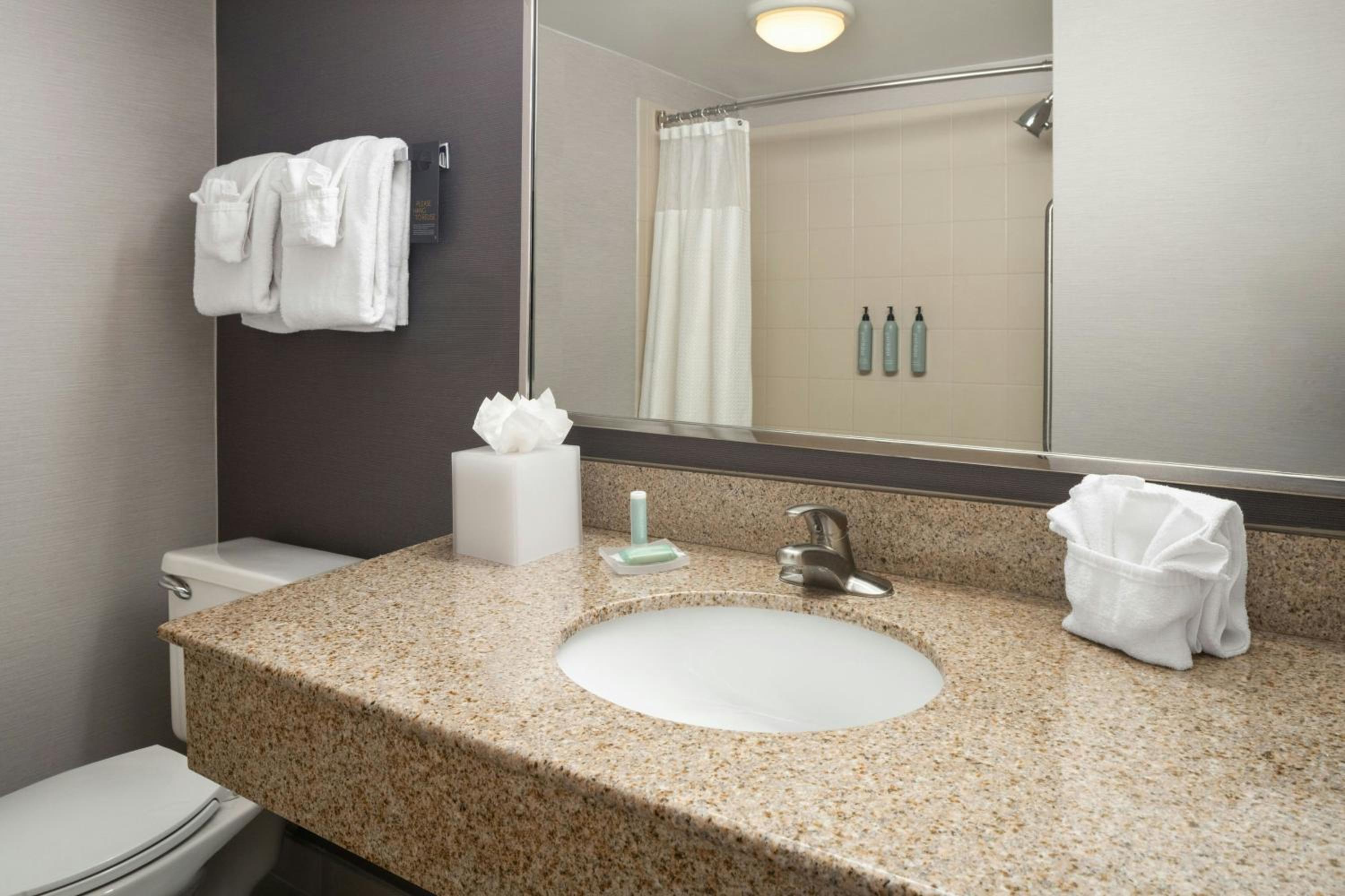 King Room with Roll-In Shower - Mobility Accessible - Photo 11