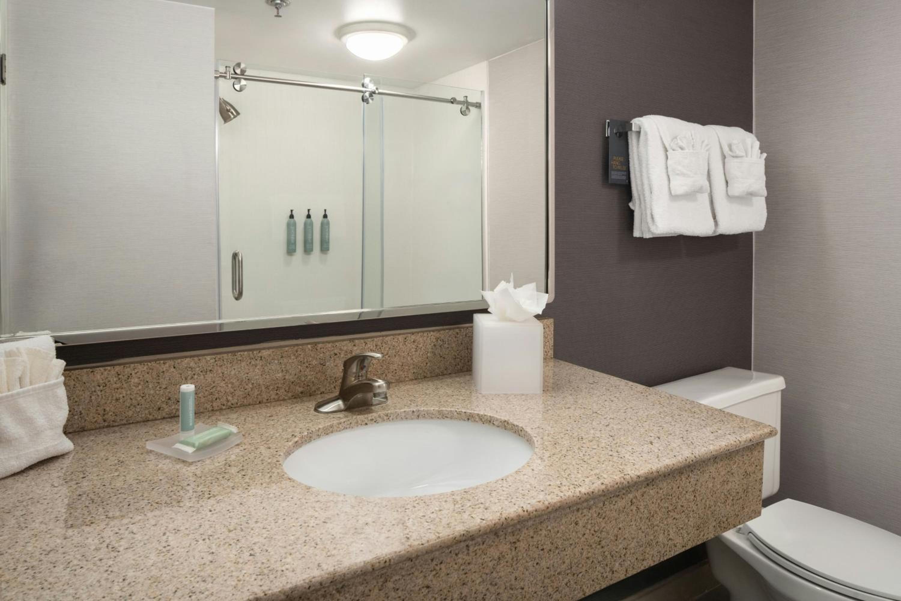King Room with Roll-In Shower - Mobility Accessible - Photo 12