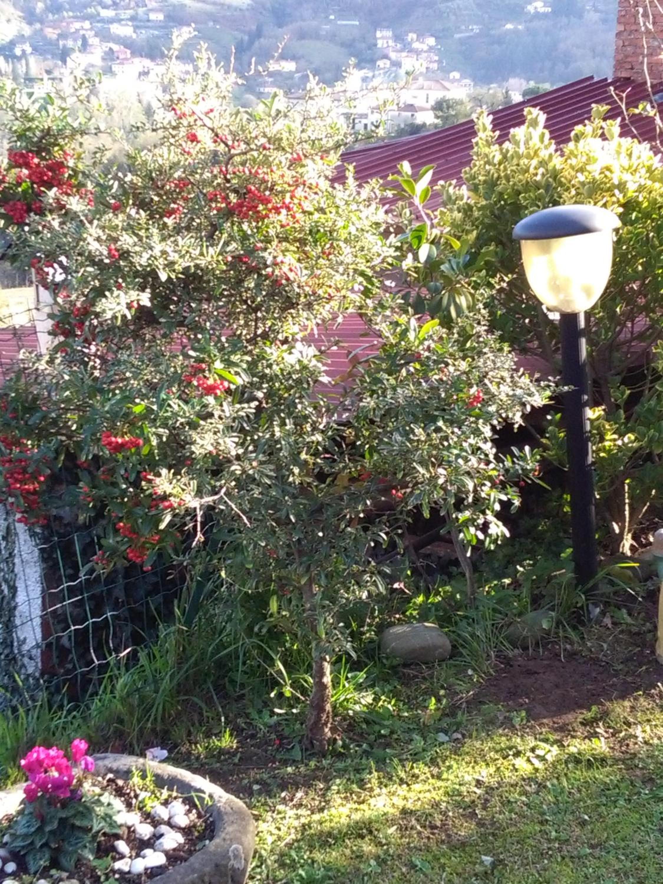 Holiday Home (4 Adults) photo 3