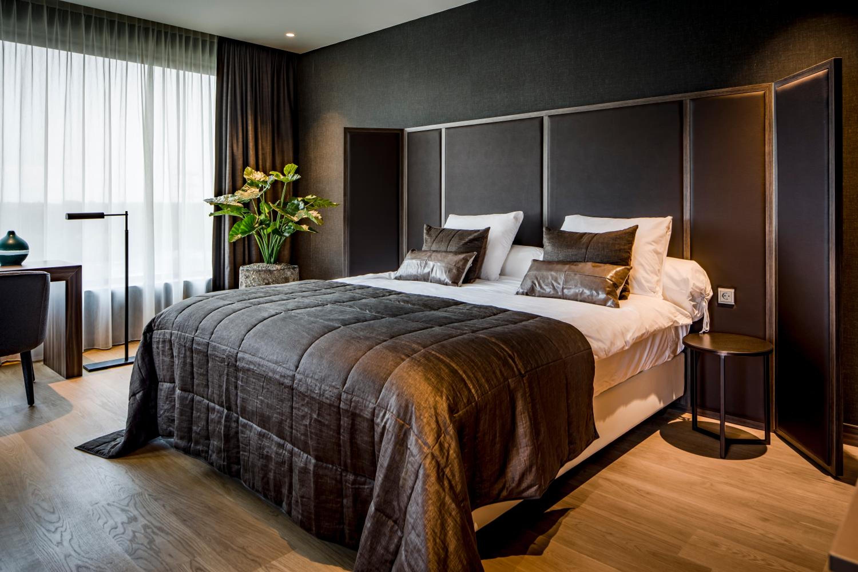 Suite photo 2