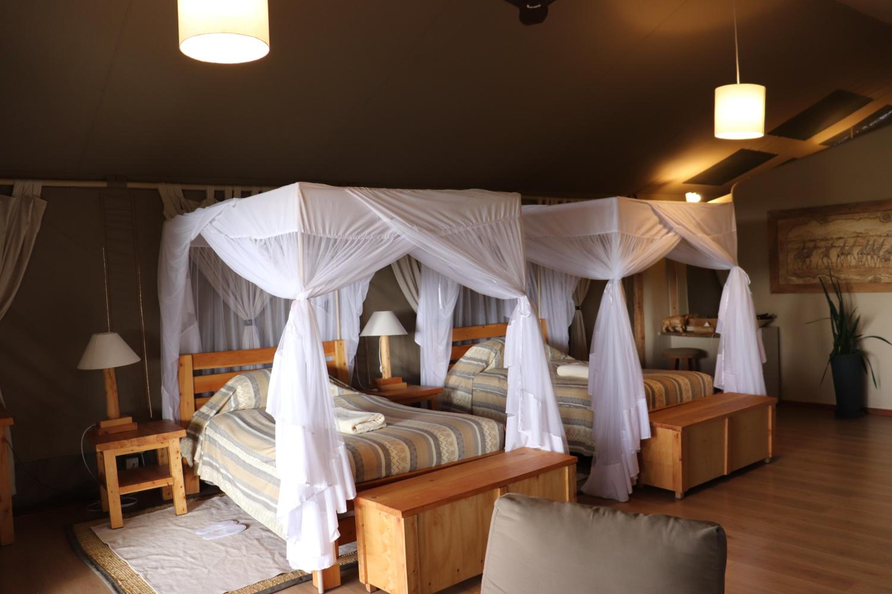 Deluxe Twin Room photo 2