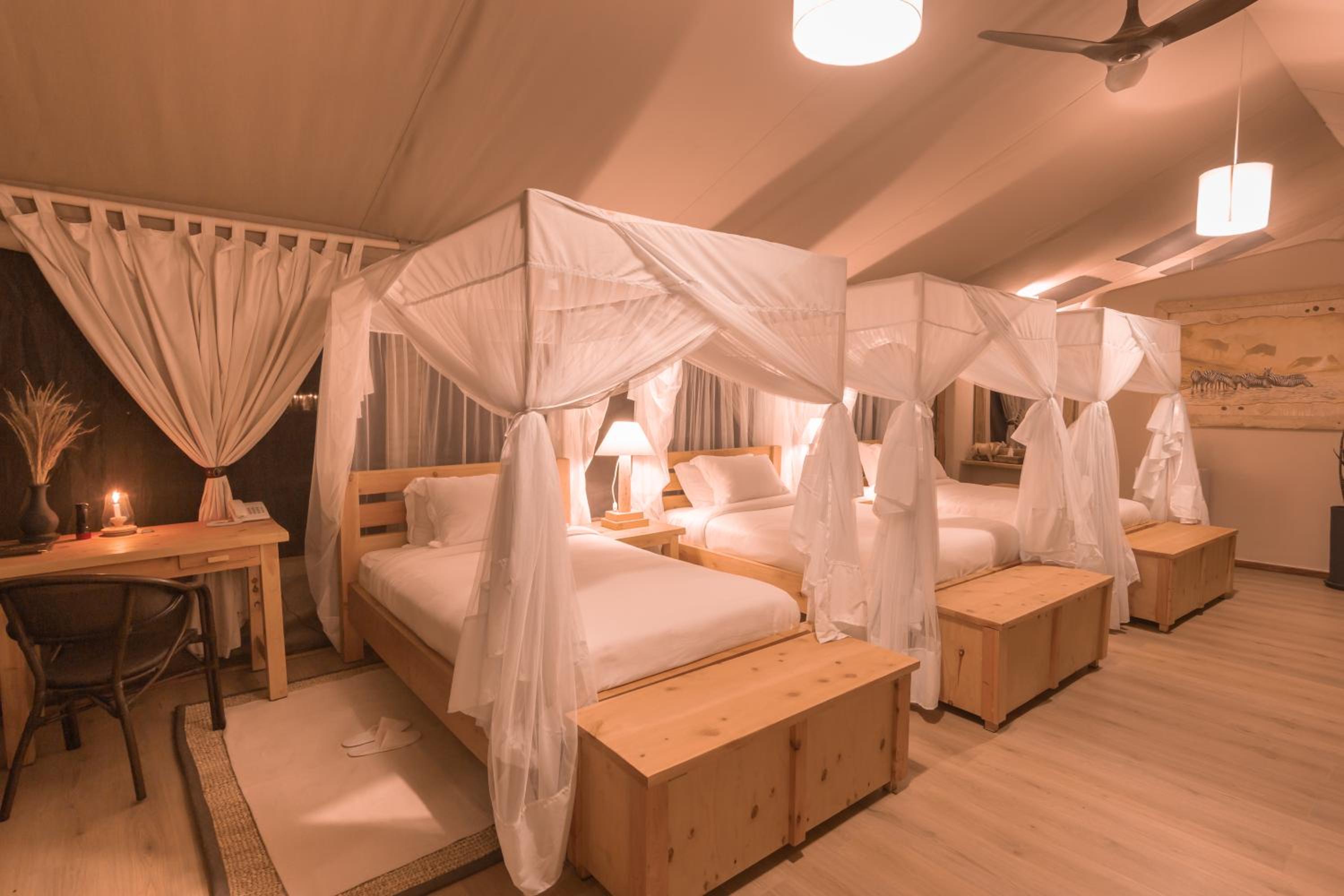 Deluxe Triple Room photo 3