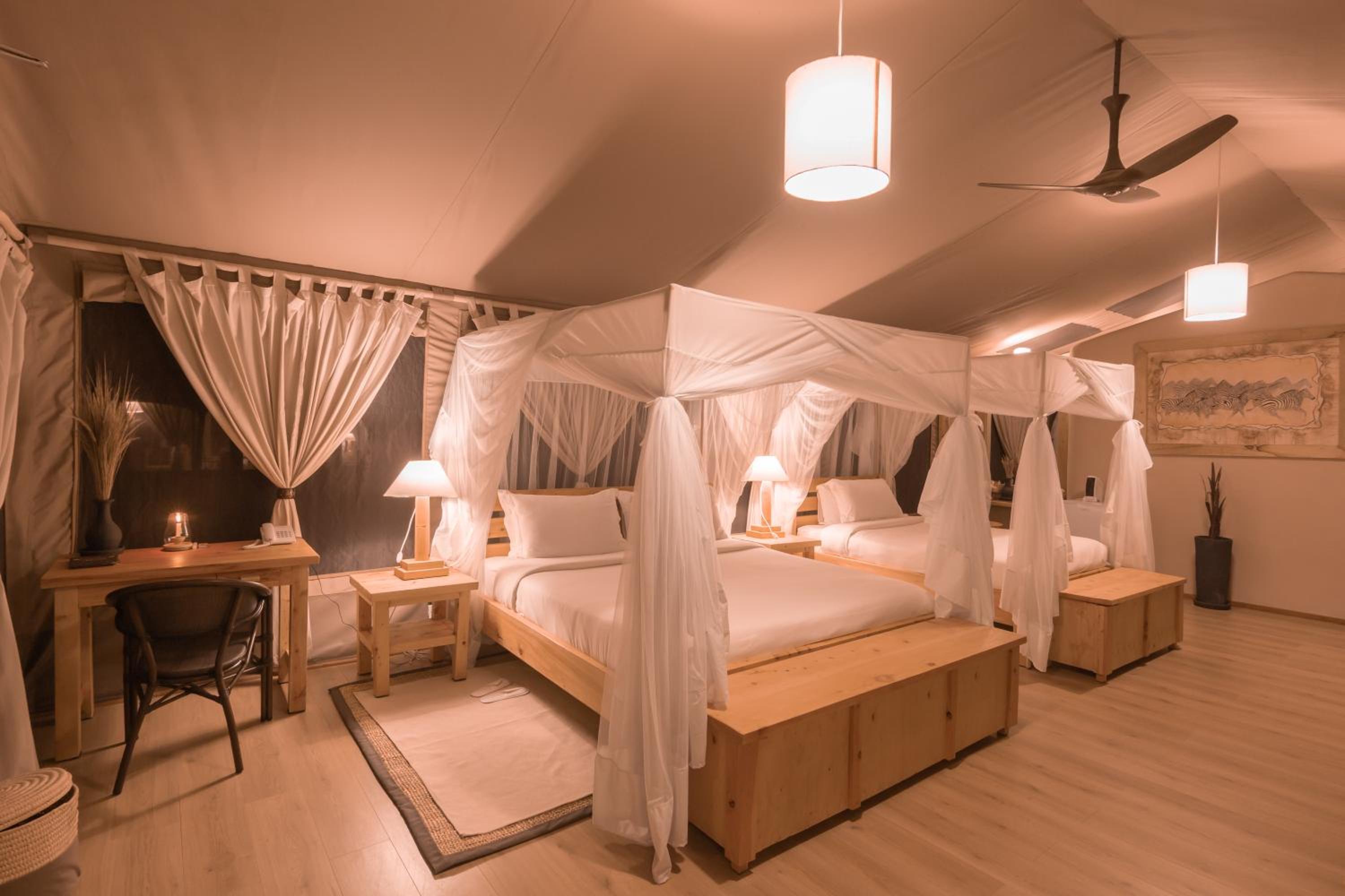 Deluxe Single Room photo 3