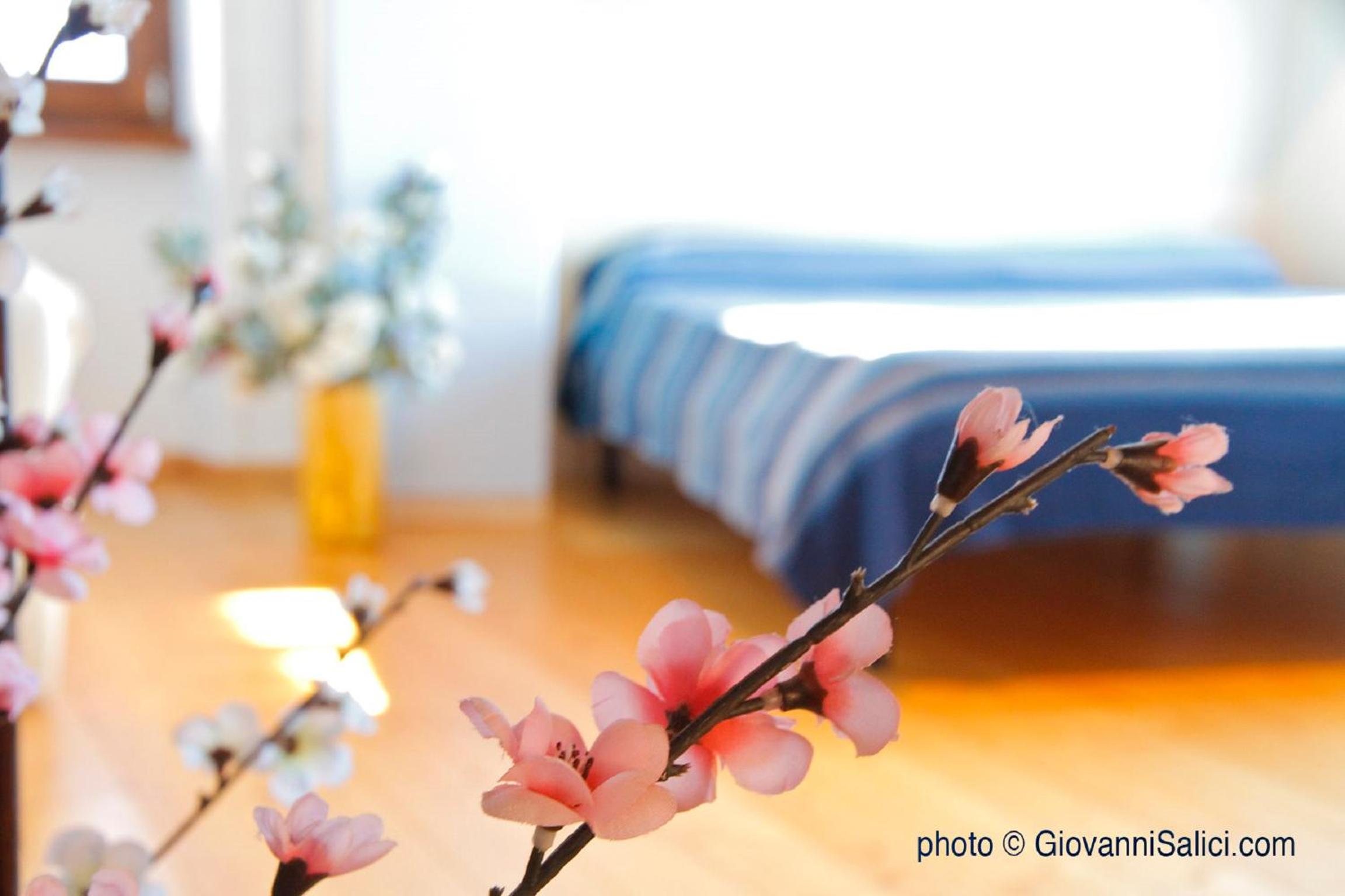 Apartment with View and Balcony photo 1
