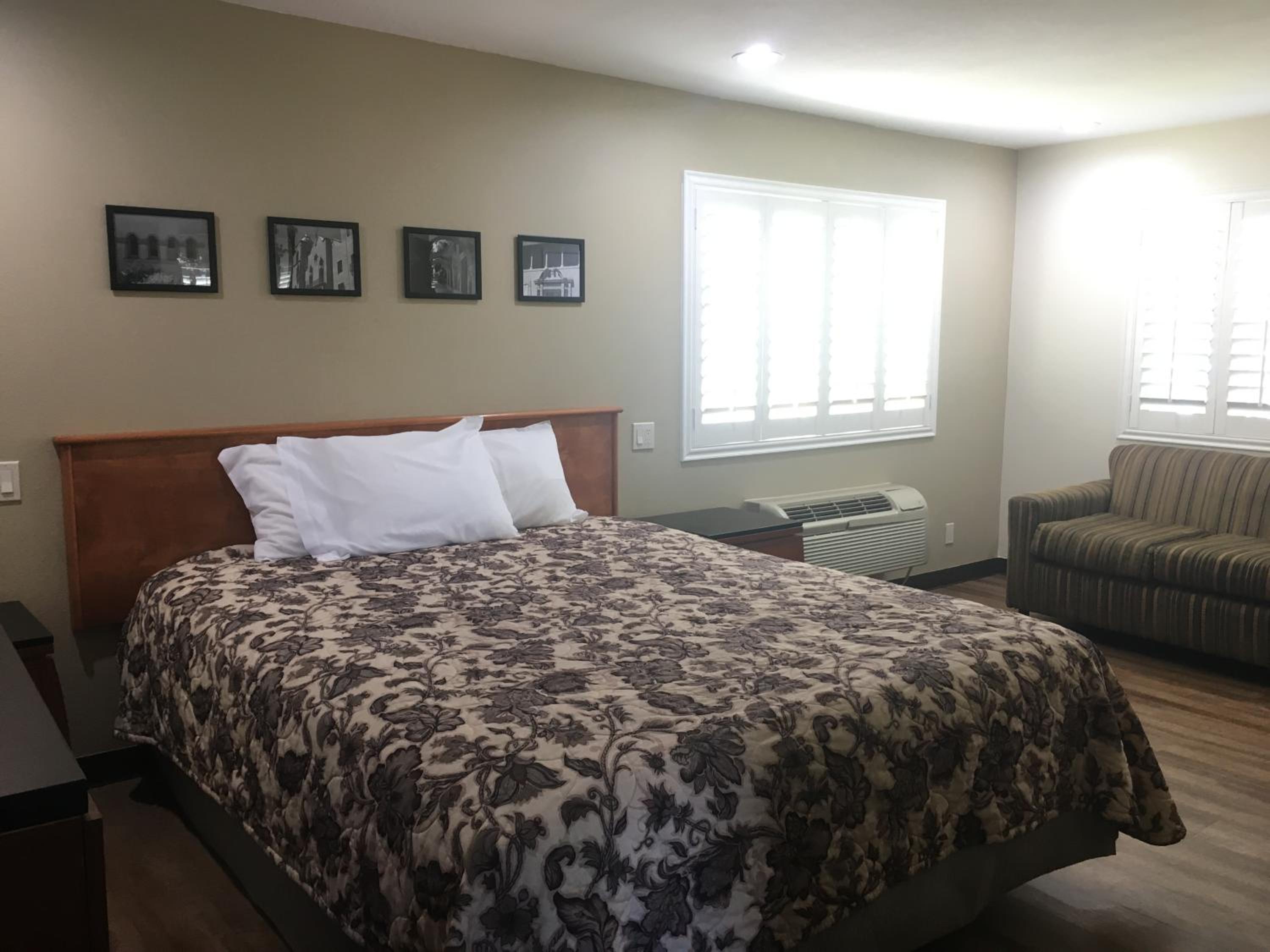 Studio Suite - Photo 2
