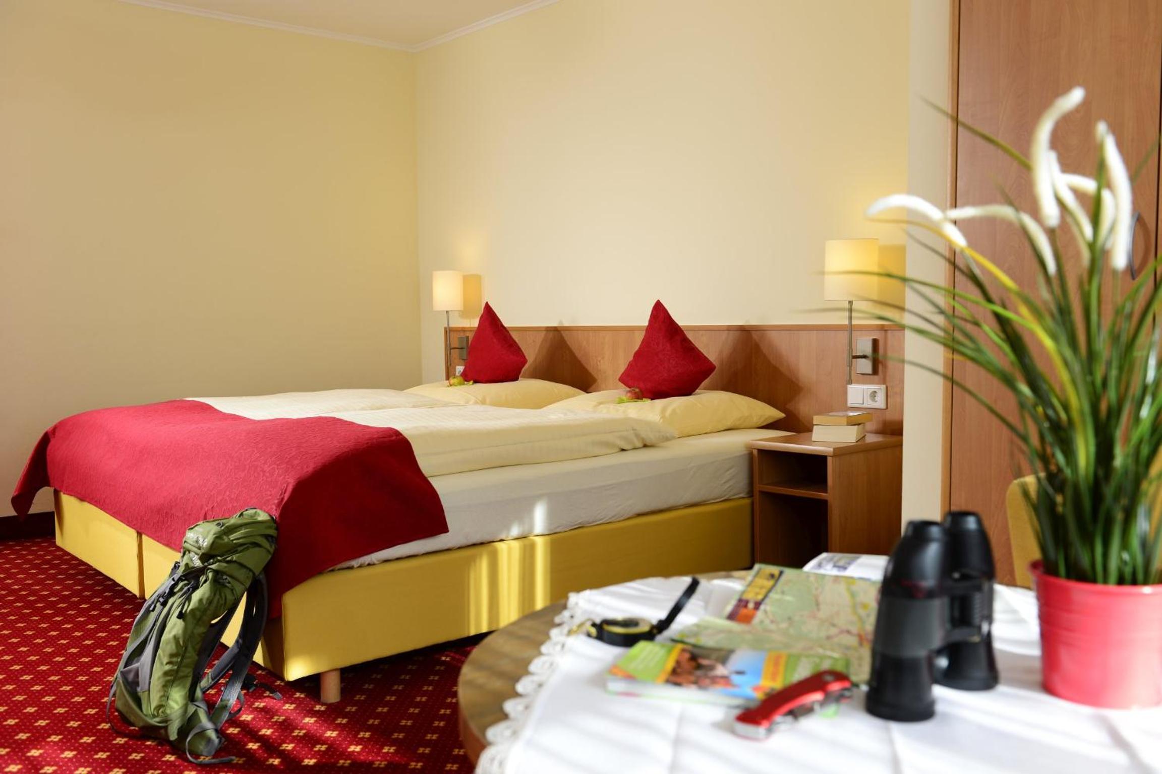 Deluxe Double Room photo 3