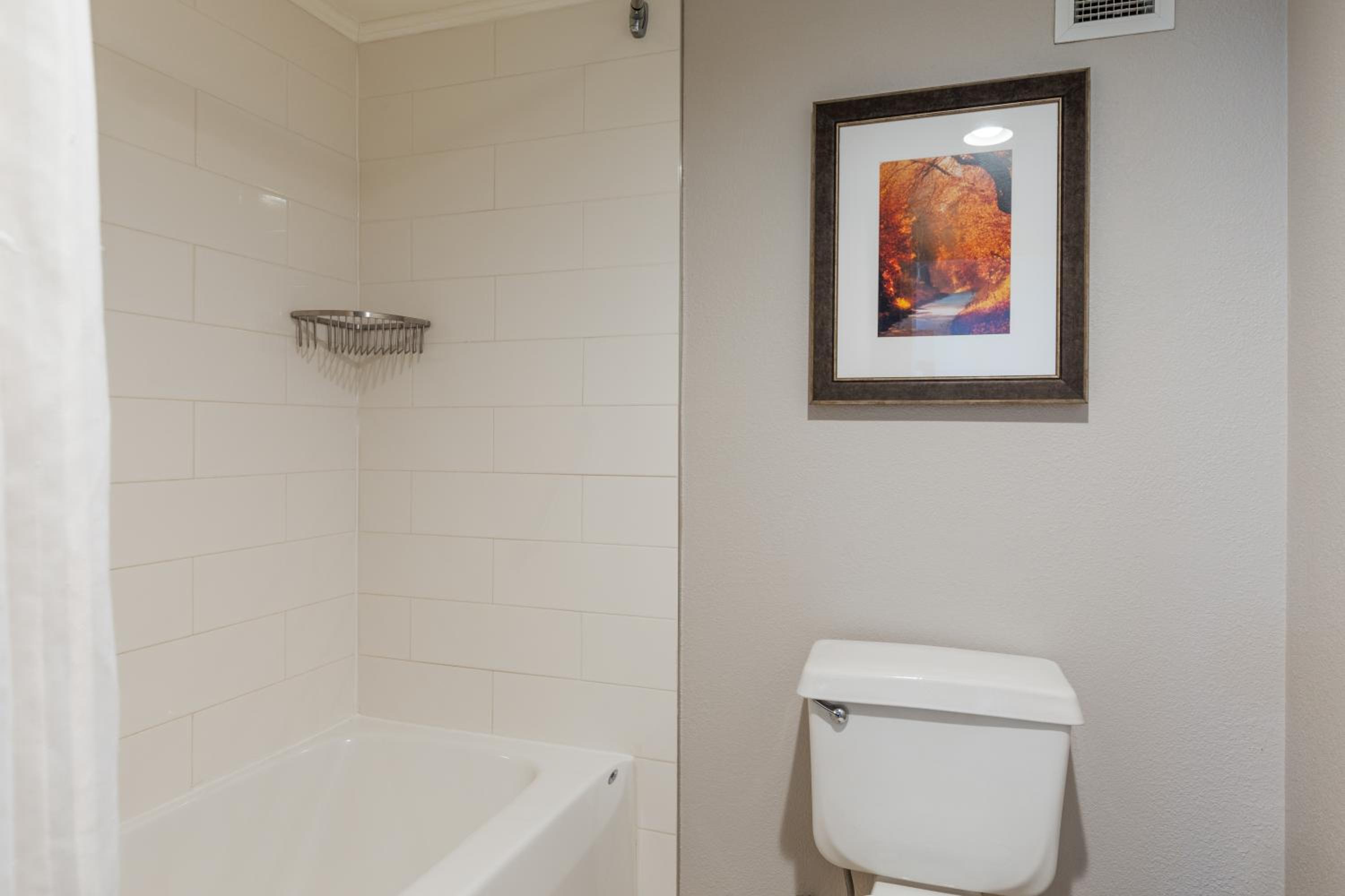King Room photo 1