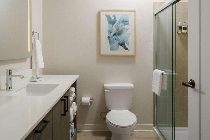Studio Suite Roll-In Shower Hearing Accessible - King Bed photo 2