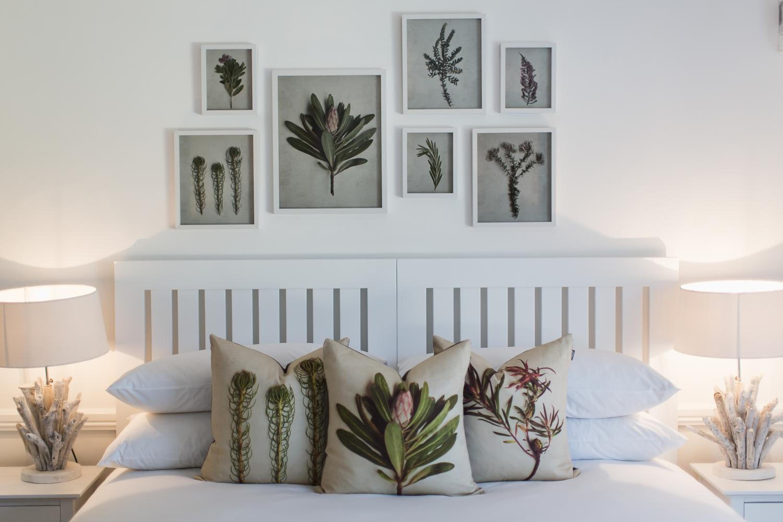 Aloe Suite - Photo 4