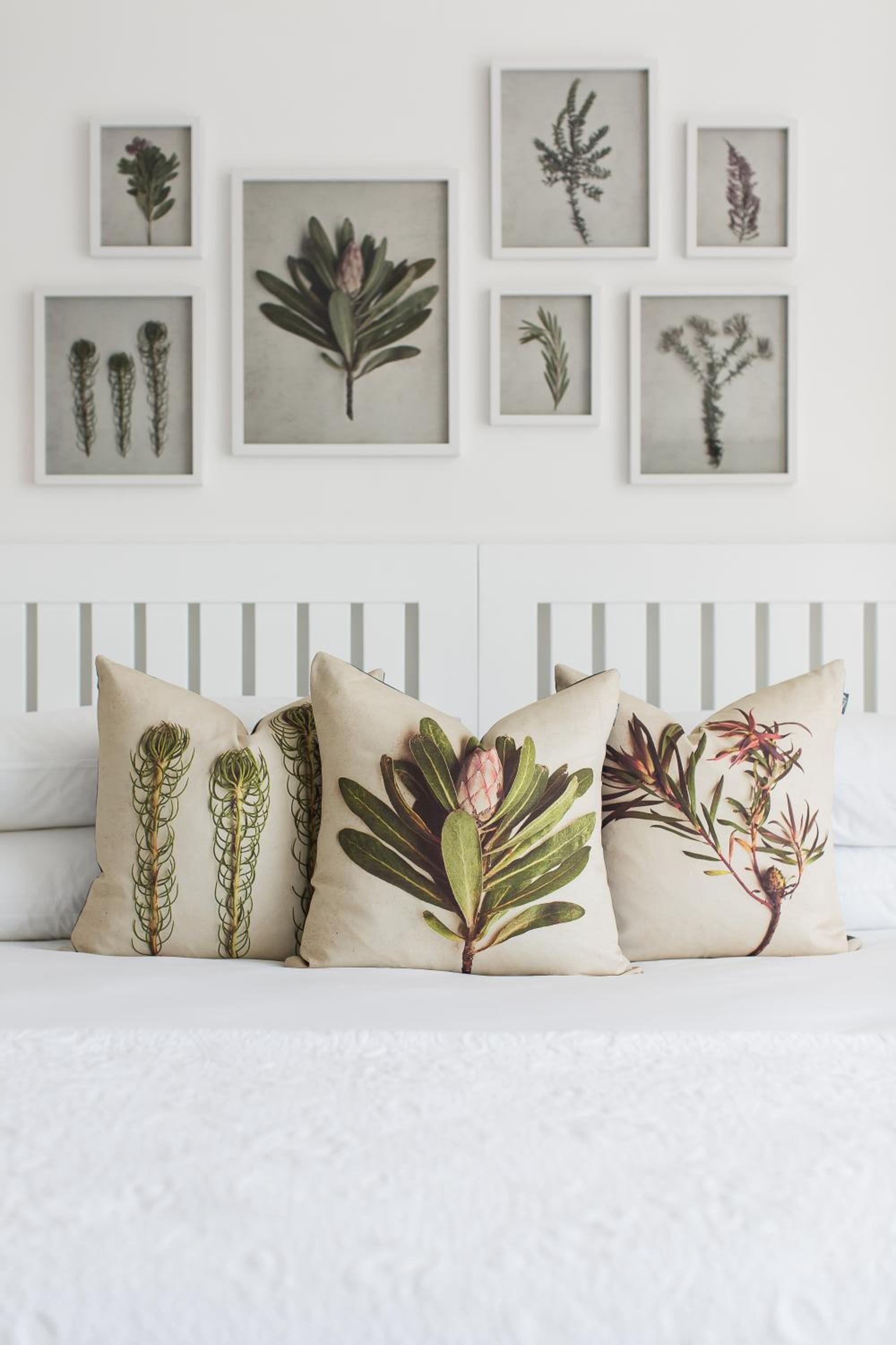 Aloe Suite - Photo 5