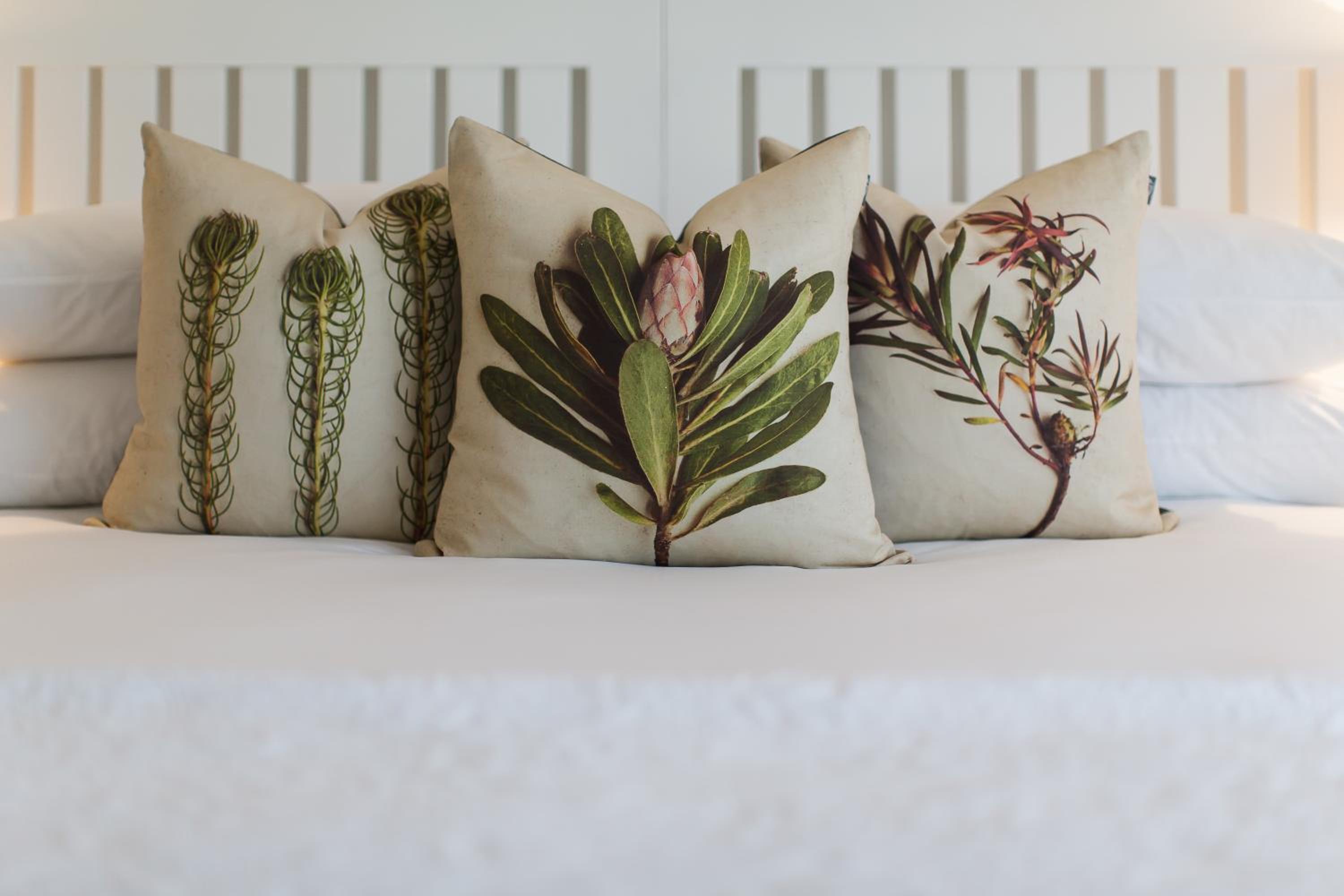 Aloe Suite - Photo 6